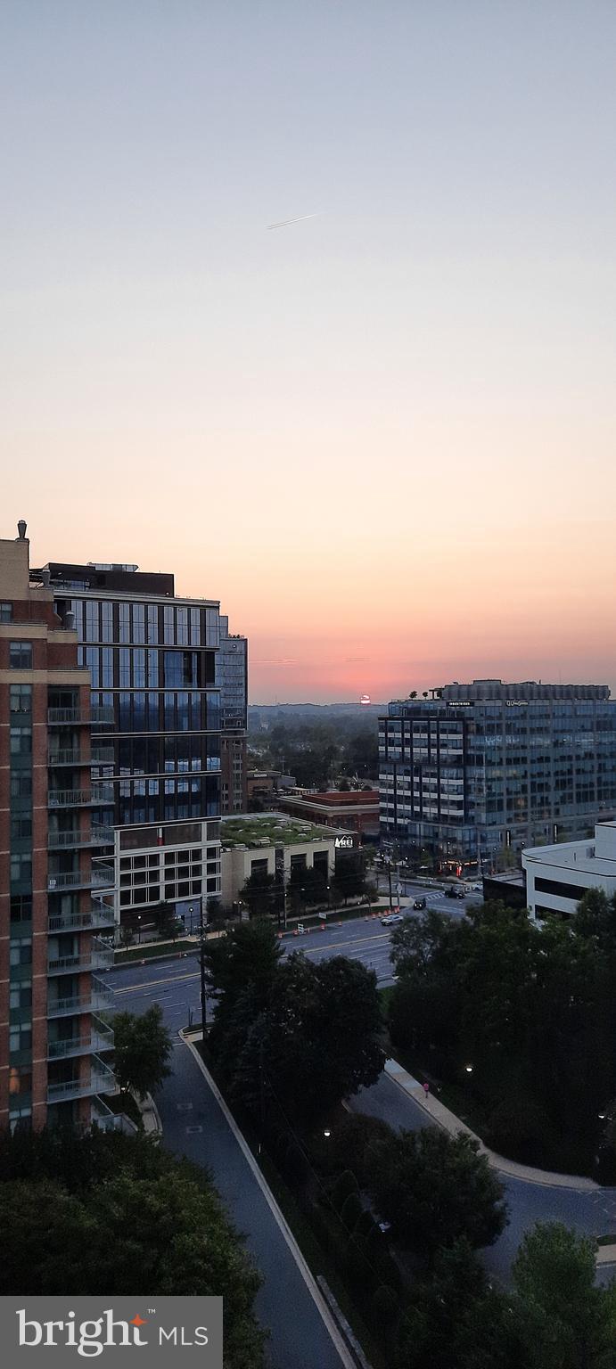 THE GALLERY - Residential Lease