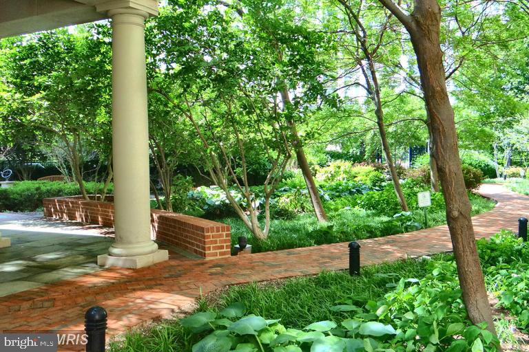 THE GALLERY - Residential Lease