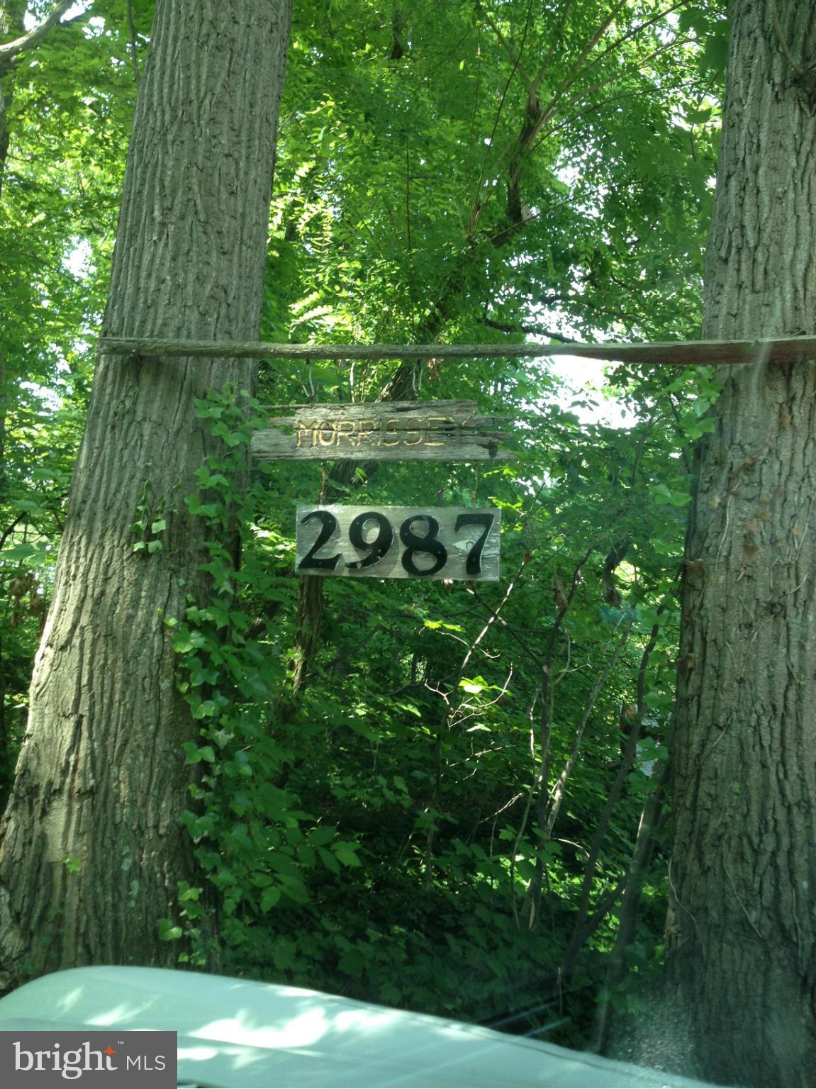 CAPE ST JOHN - Residential