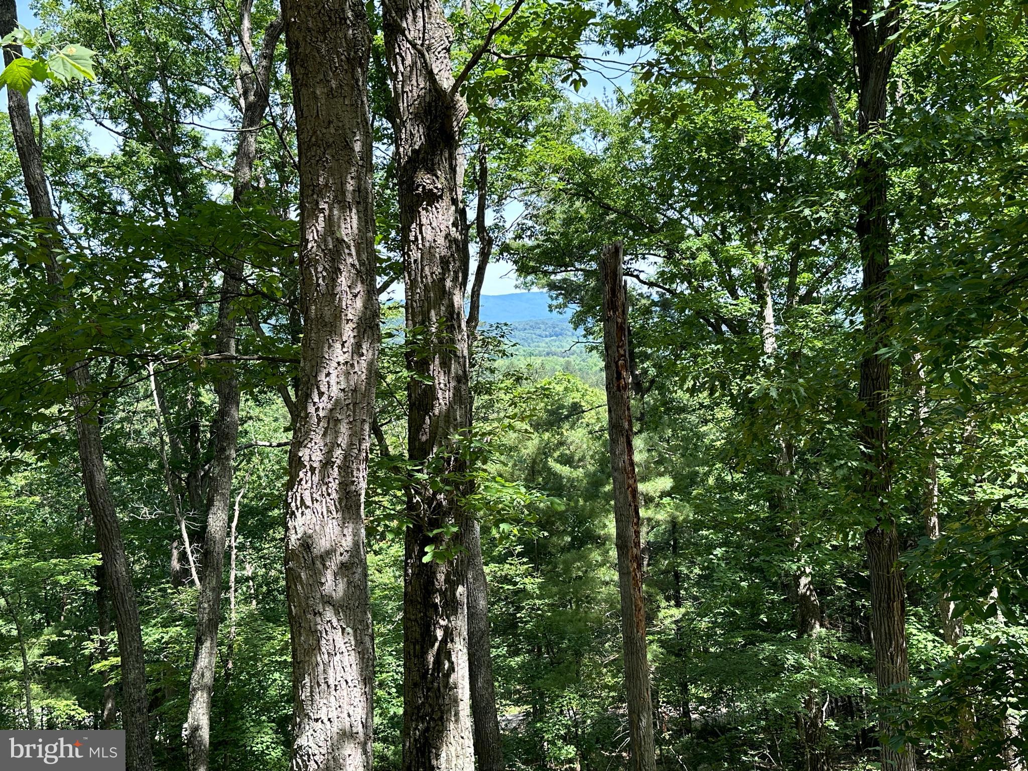 SOUTH POTOMAC VALLEY - Land