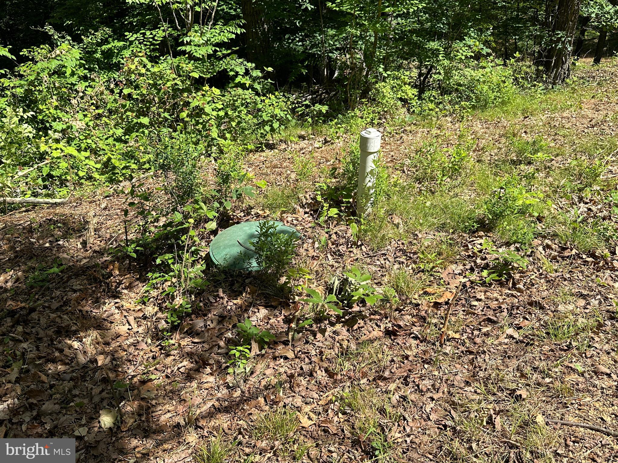 SOUTH POTOMAC VALLEY - Land