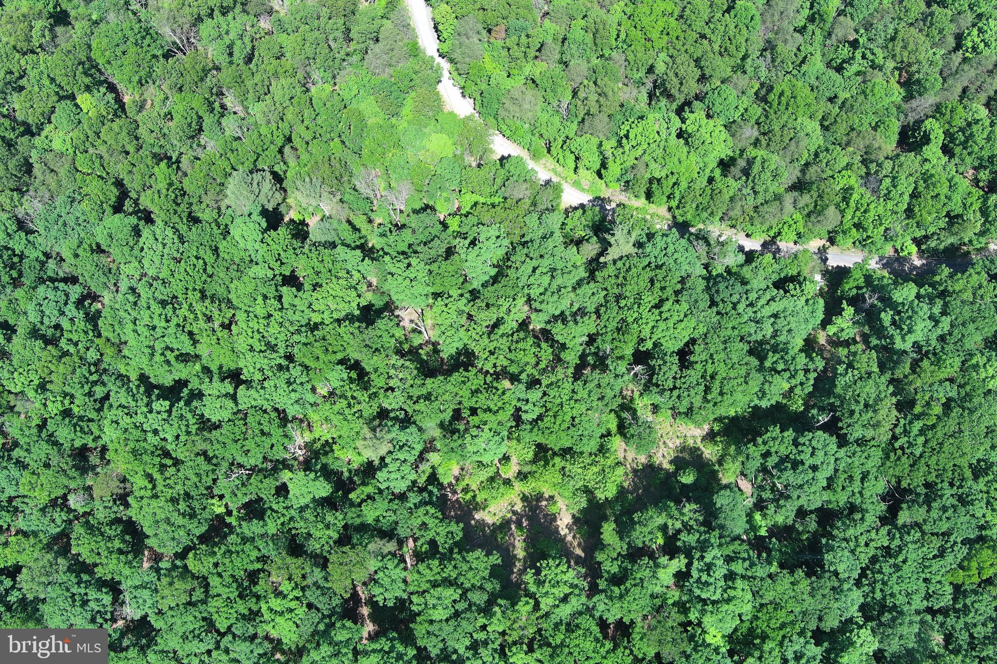 SOUTH POTOMAC VALLEY - Land