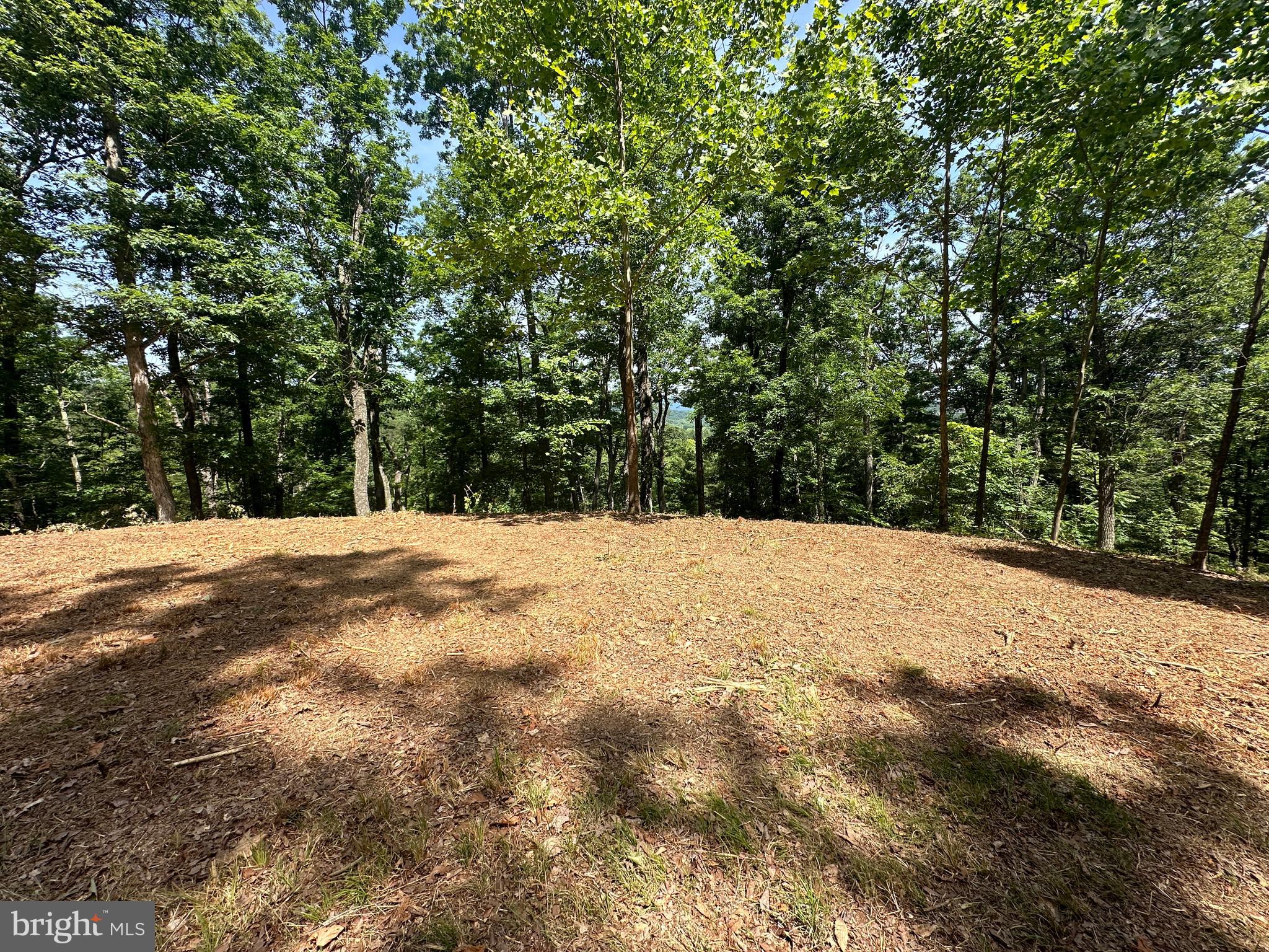 SOUTH POTOMAC VALLEY - Land