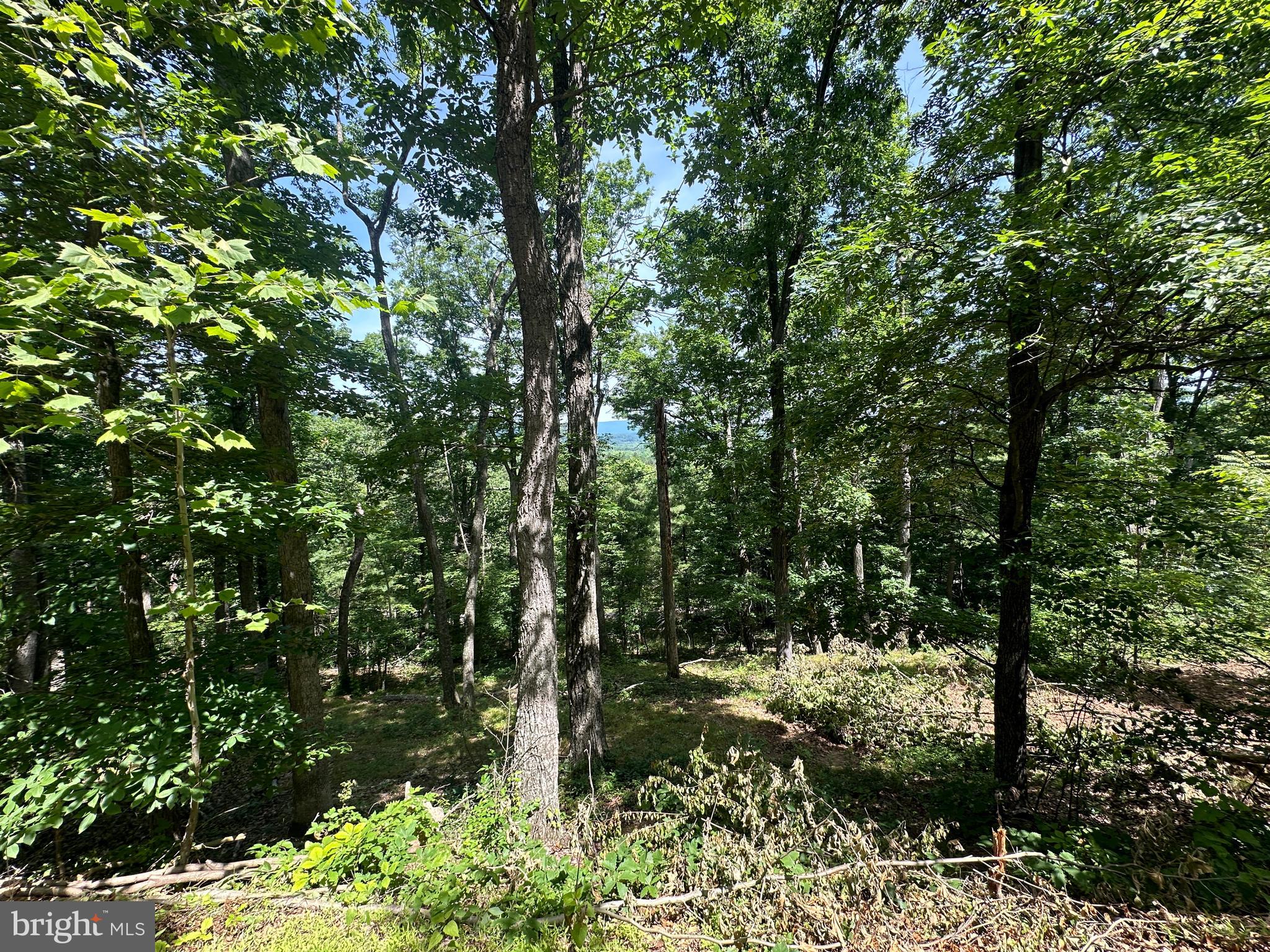 SOUTH POTOMAC VALLEY - Land