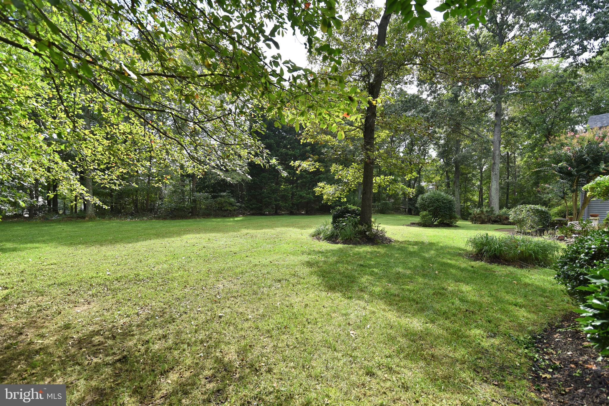 WOODBRIDGE FOREST - Residential