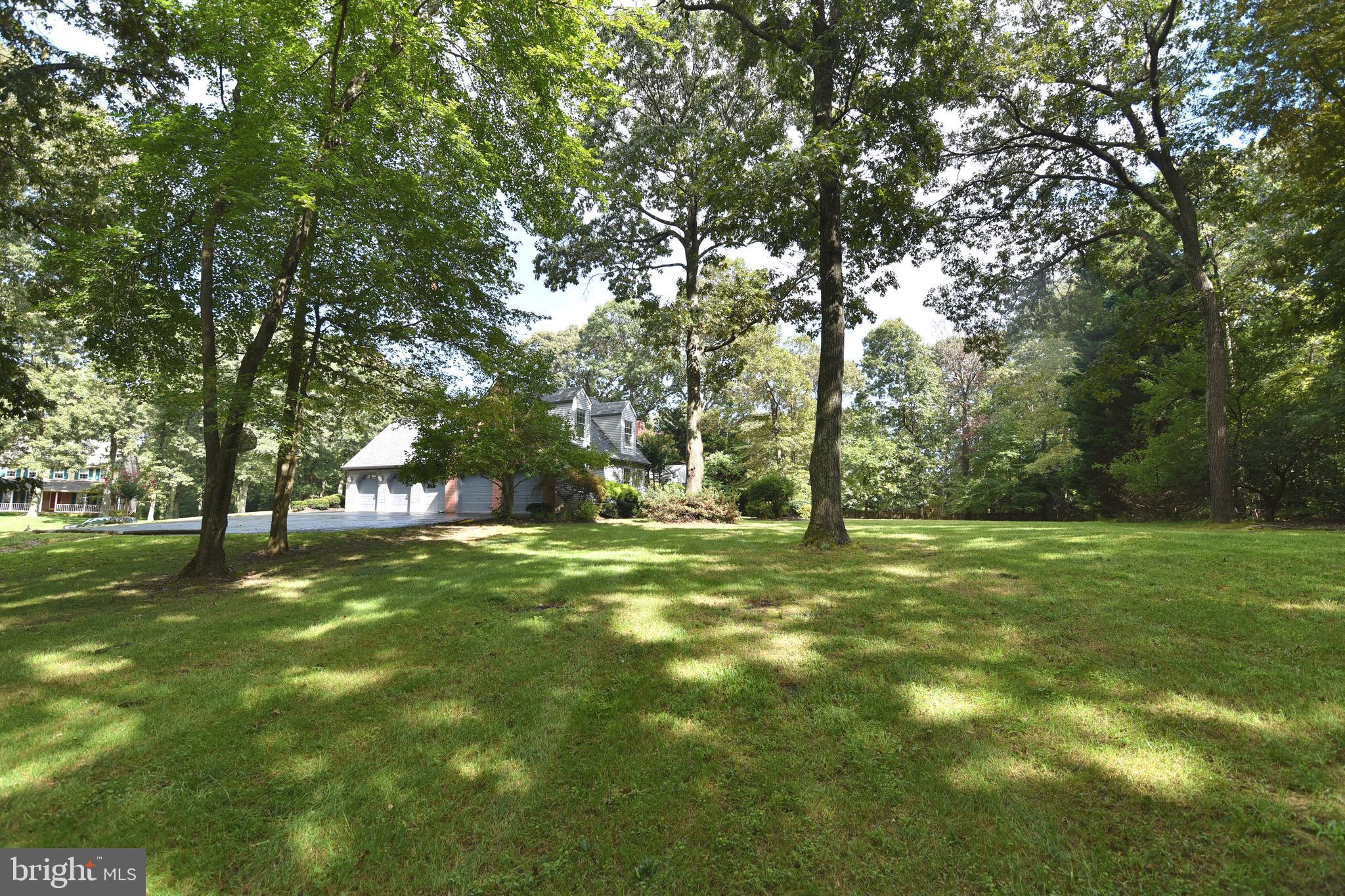 WOODBRIDGE FOREST - Residential