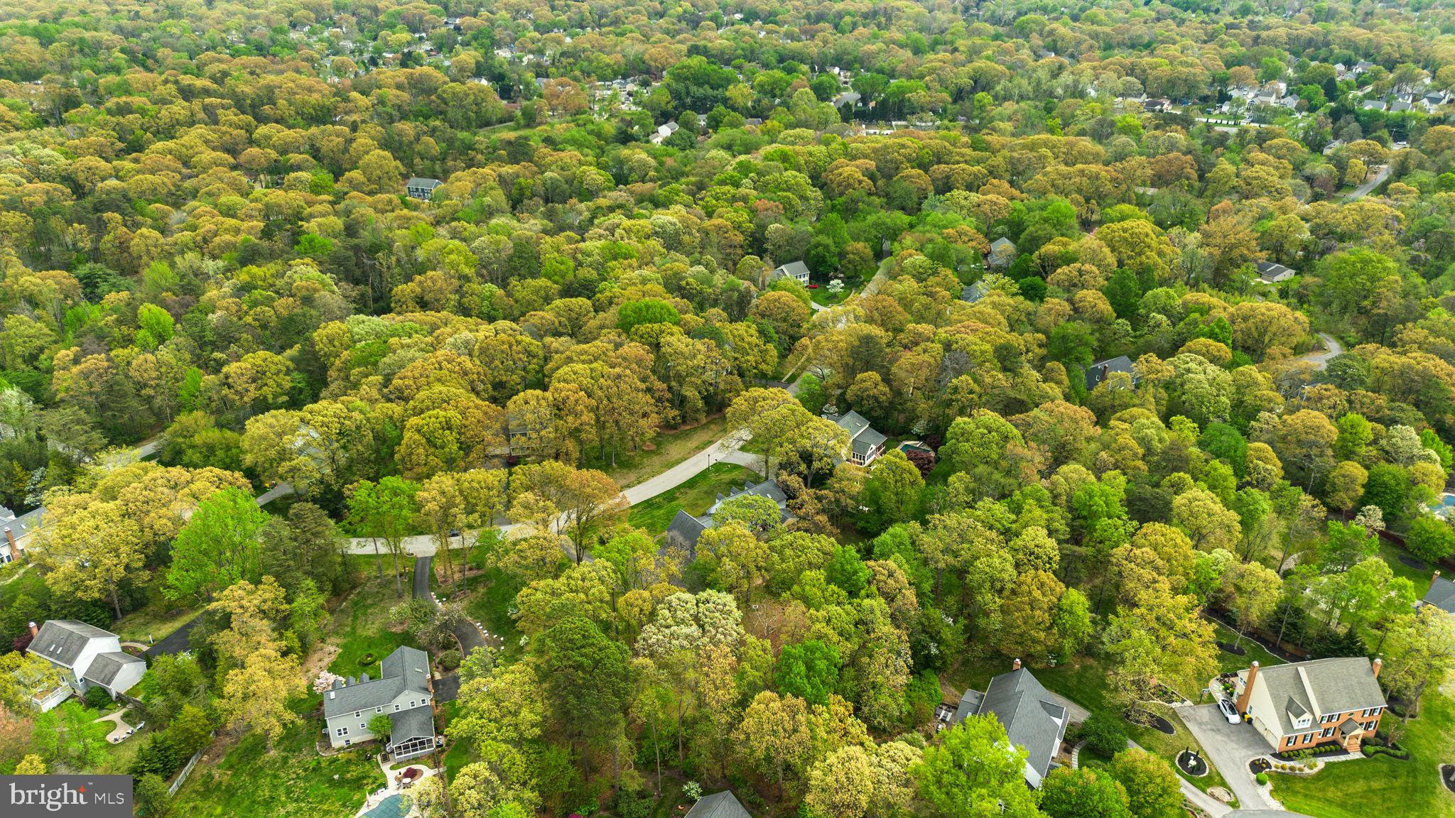 WOODBRIDGE FOREST - Residential