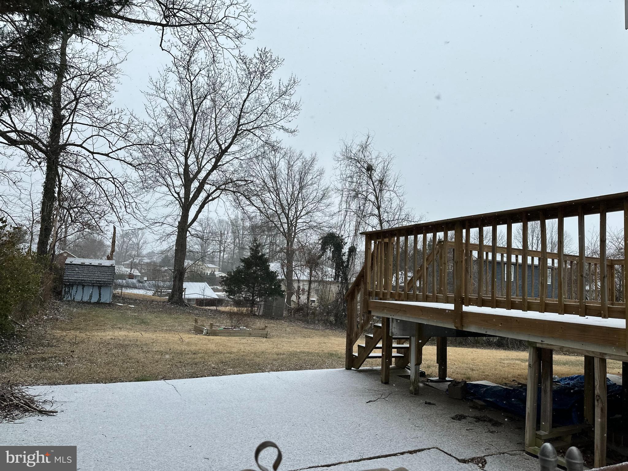 SPRINGFIELD PARK - Residential Lease