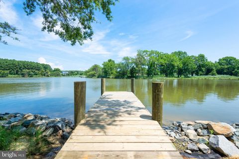 118 N LAKE DRIVE STEVENSVILLE MD 21666