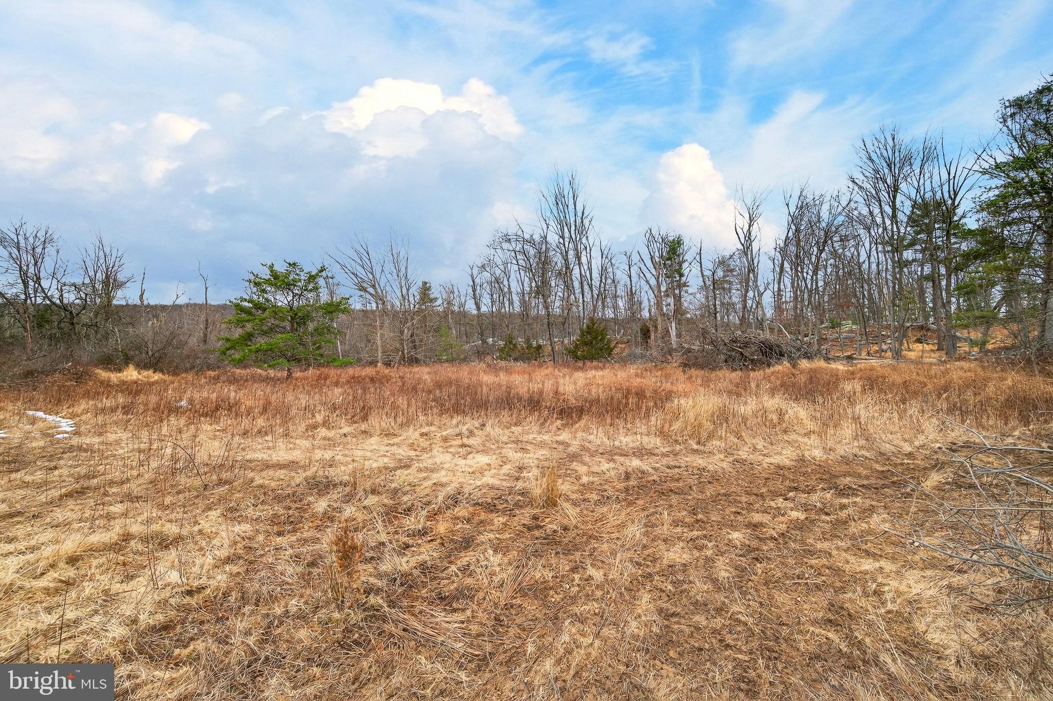 STAGECOACH STOP @ CAPON BRIDGE - Residential