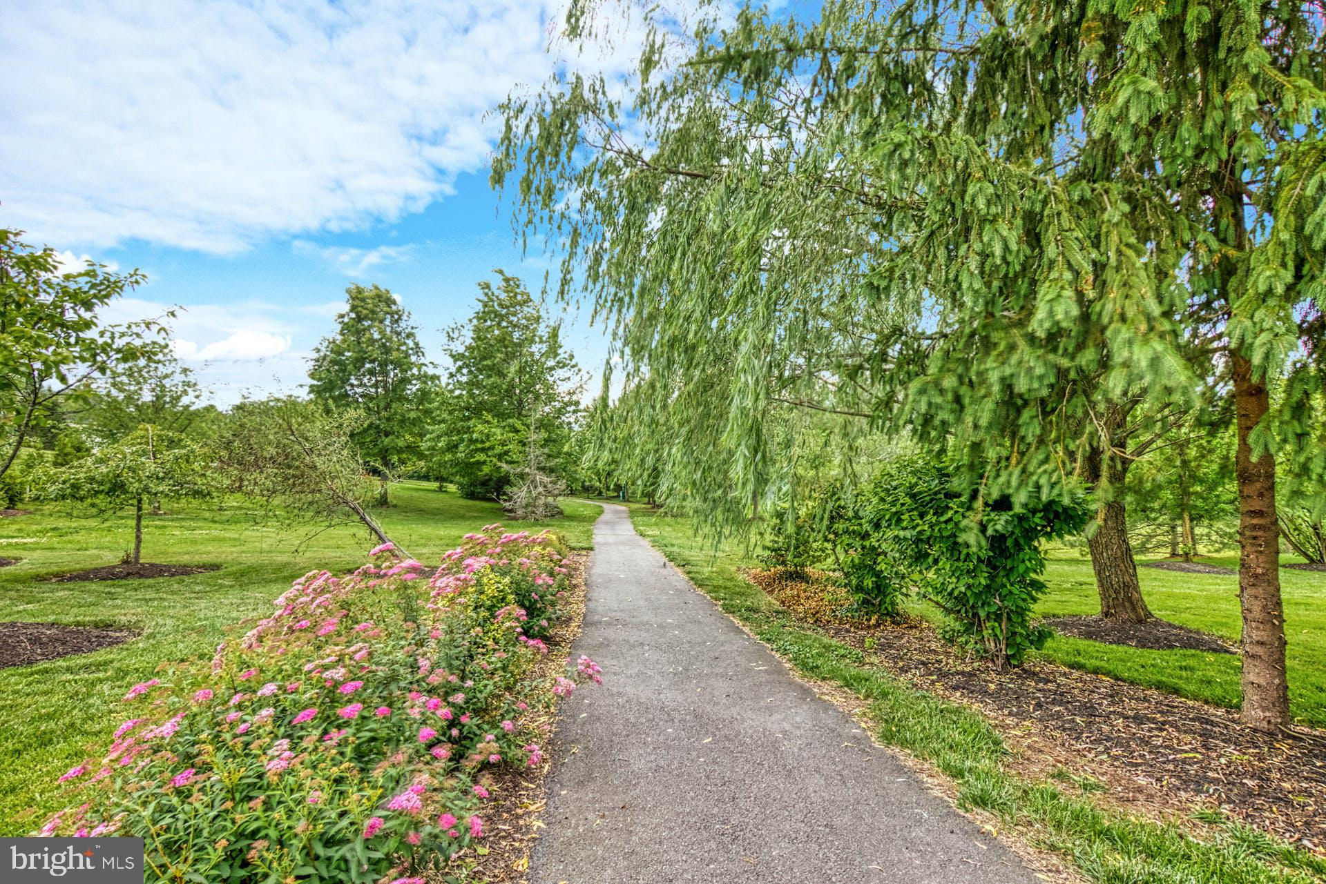 CHASE AT BELMONT COUNTRY - Residential