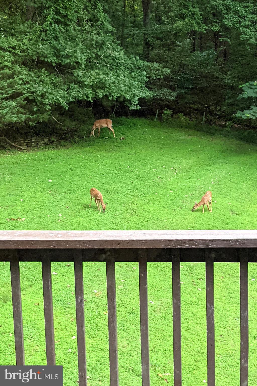 PARKTON - Residential