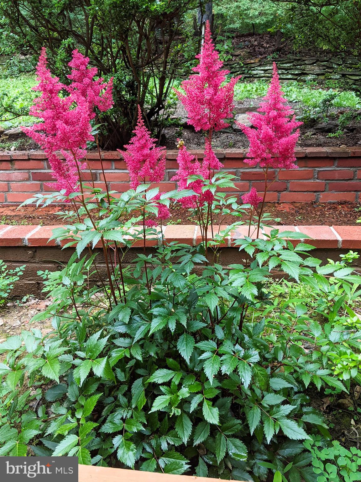 PARKTON - Residential