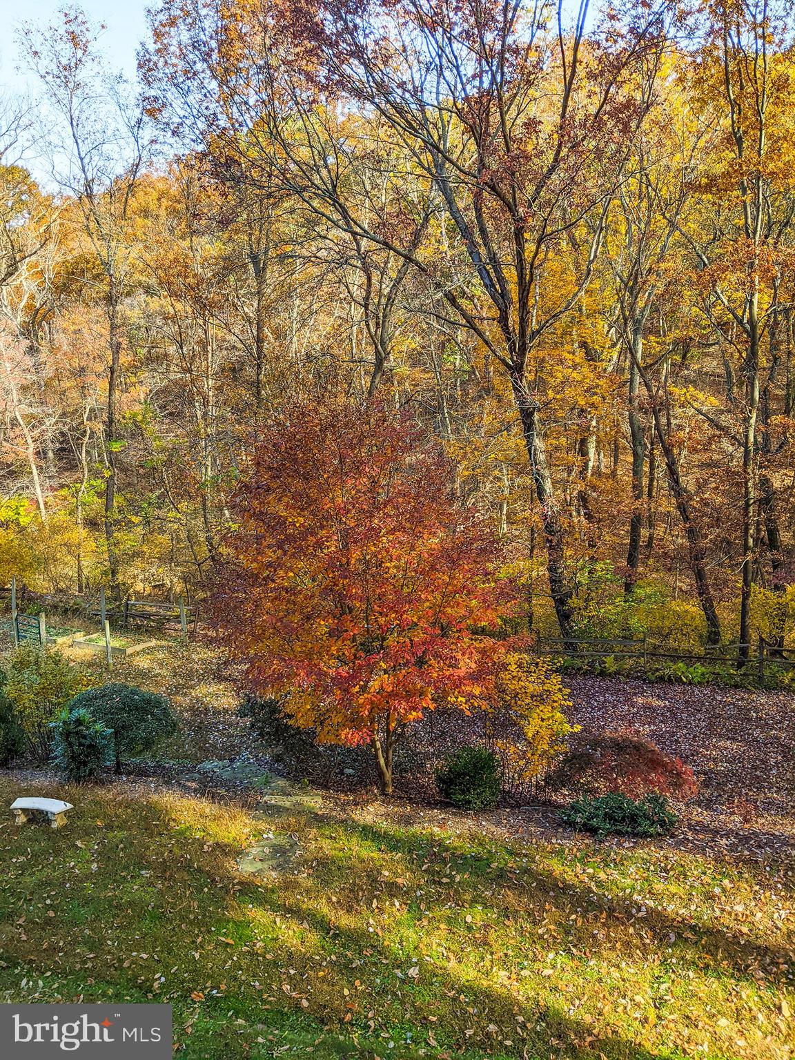 PARKTON - Residential