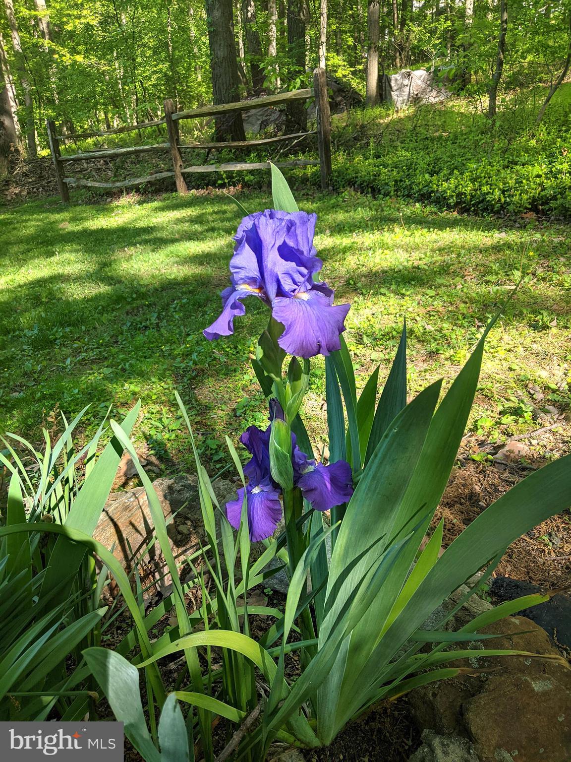 PARKTON - Residential