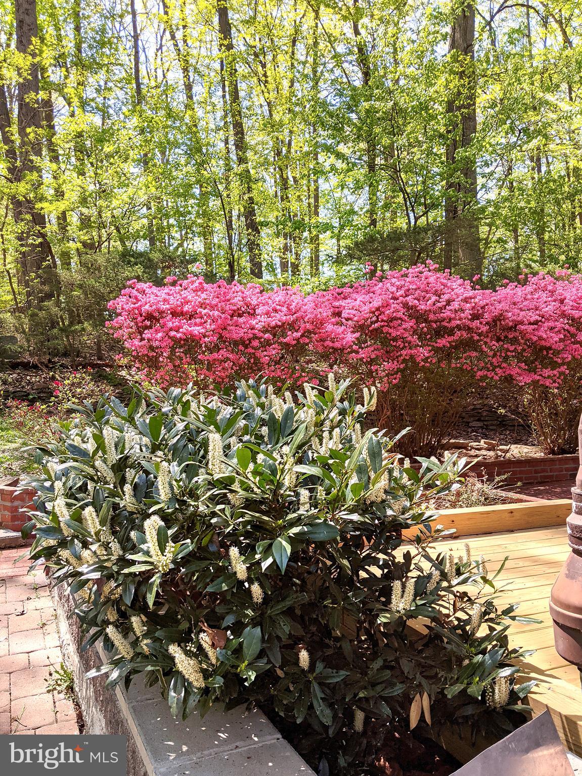 PARKTON - Residential