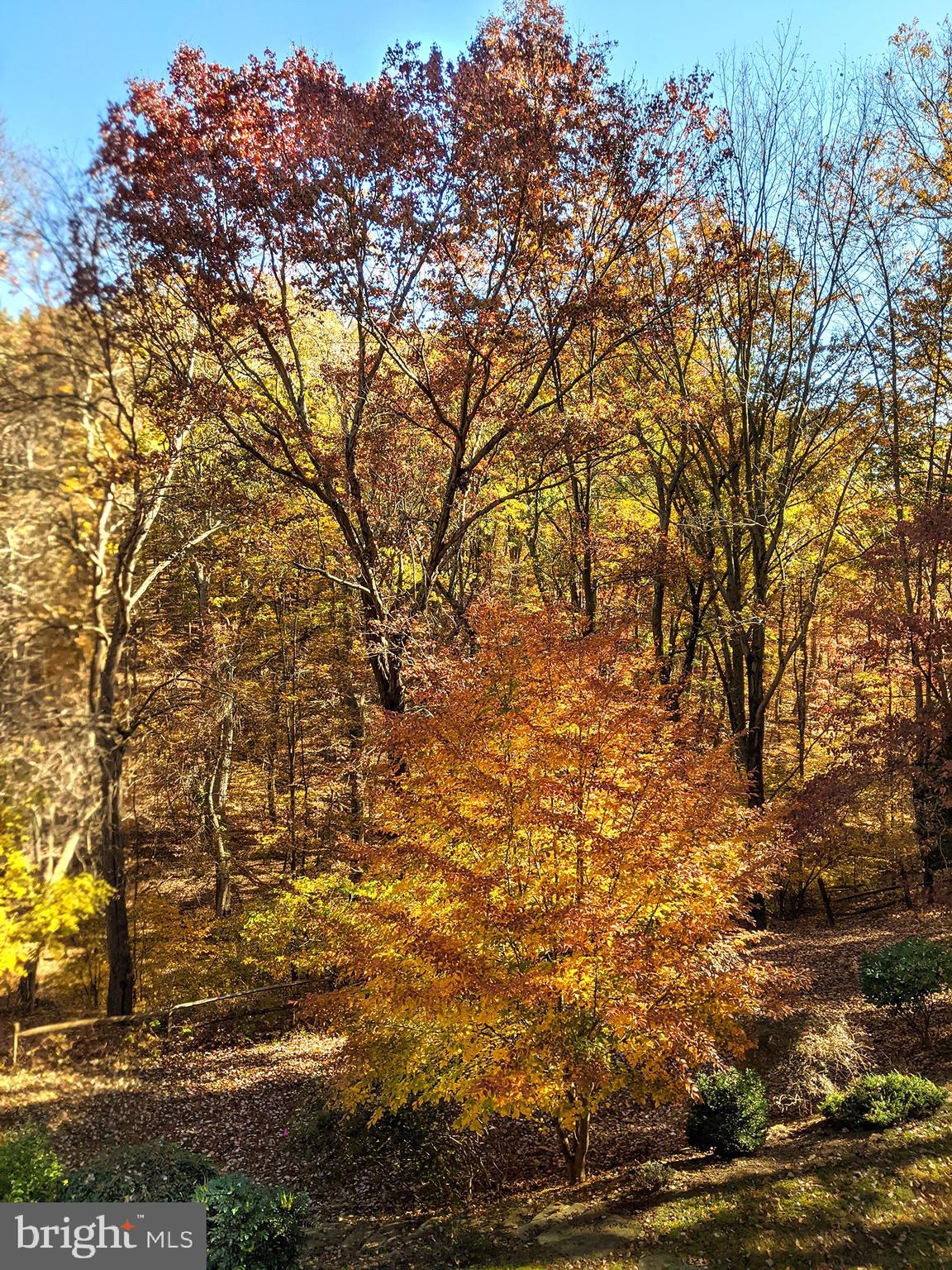 PARKTON - Residential