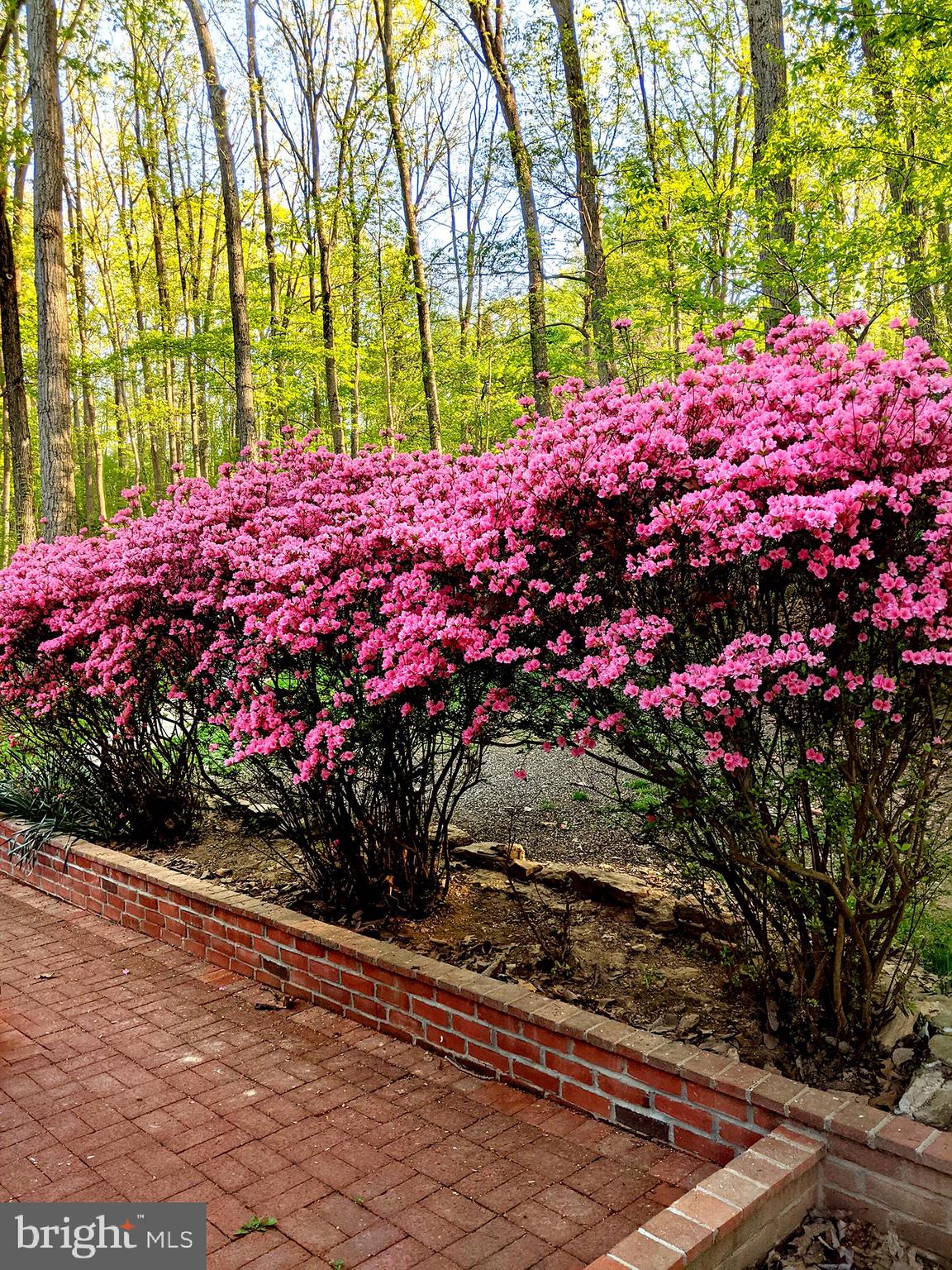 PARKTON - Residential