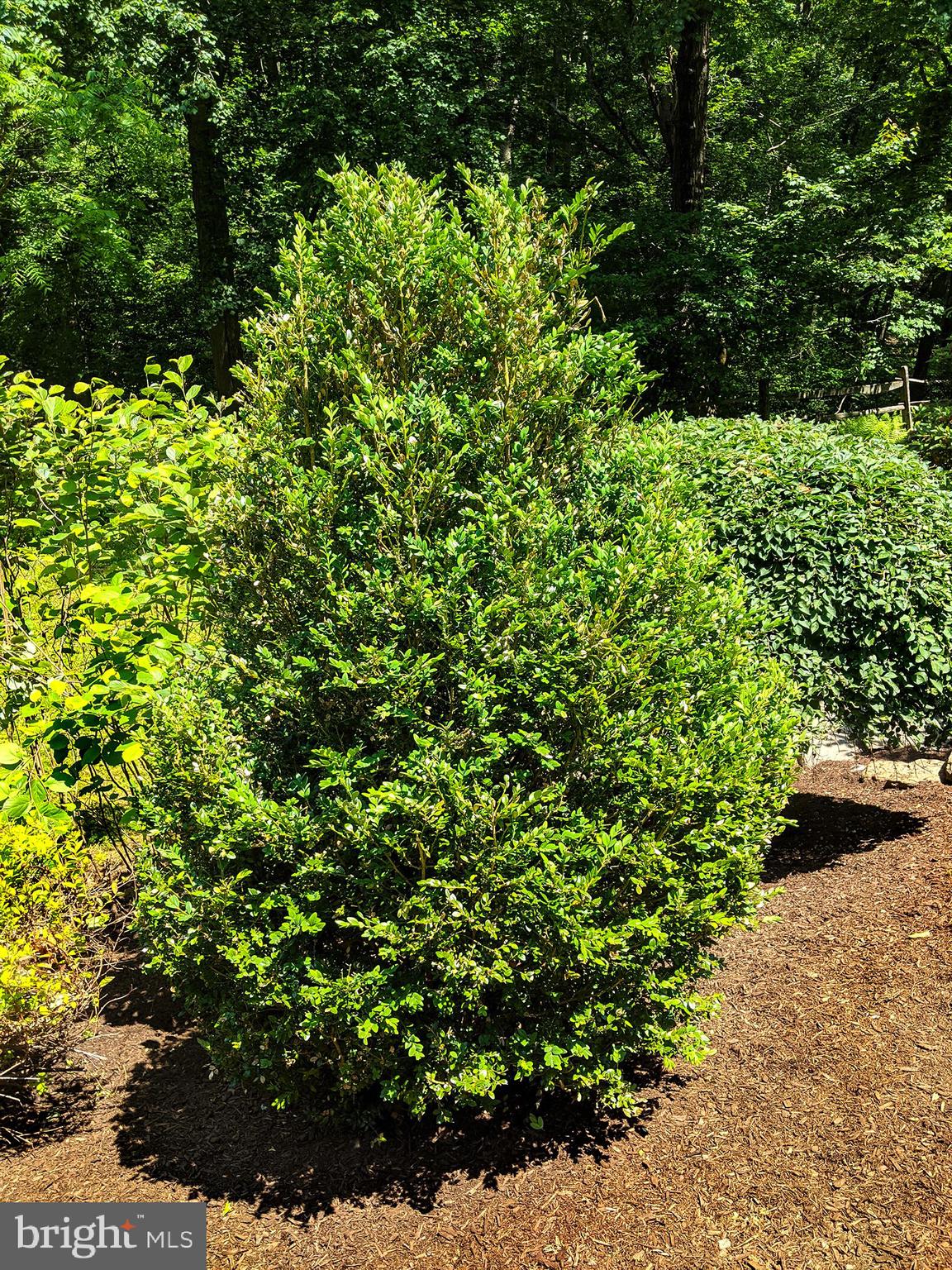 PARKTON - Residential