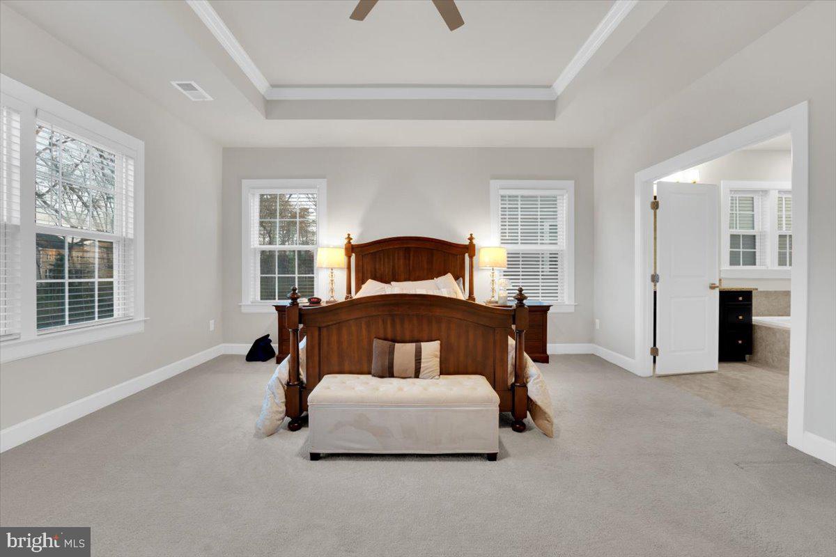 GRANT AT WILLOWSFORD - Residential