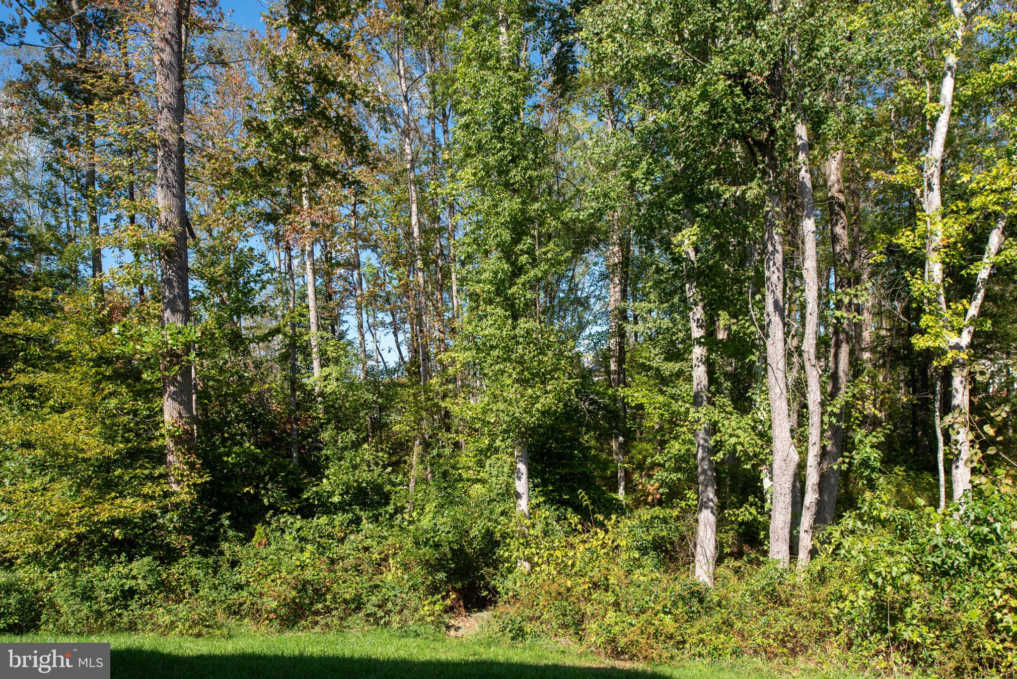 SHELTON KNOLLS - Residential