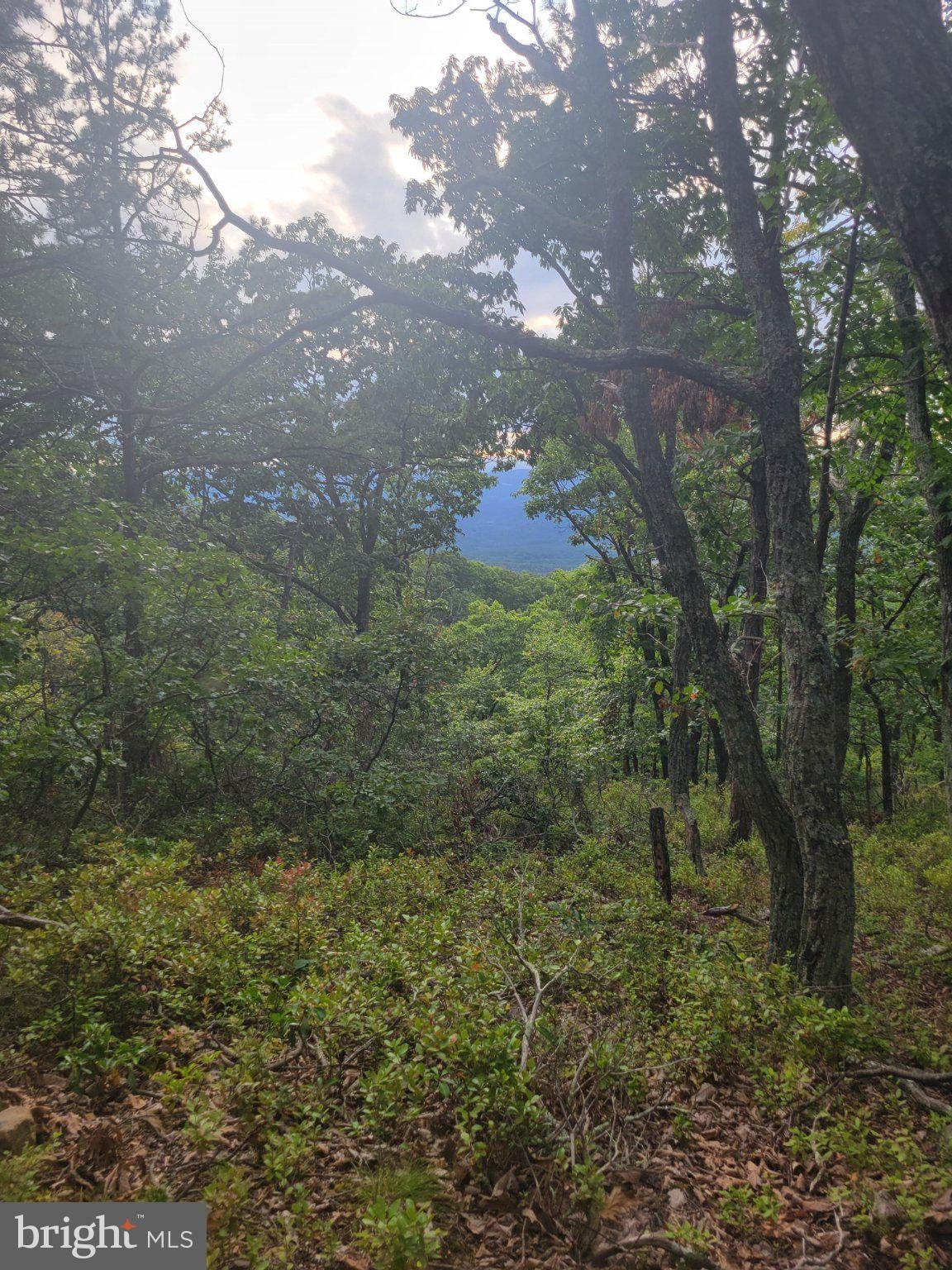 LOT 337 NATHANIEL MT ROAD