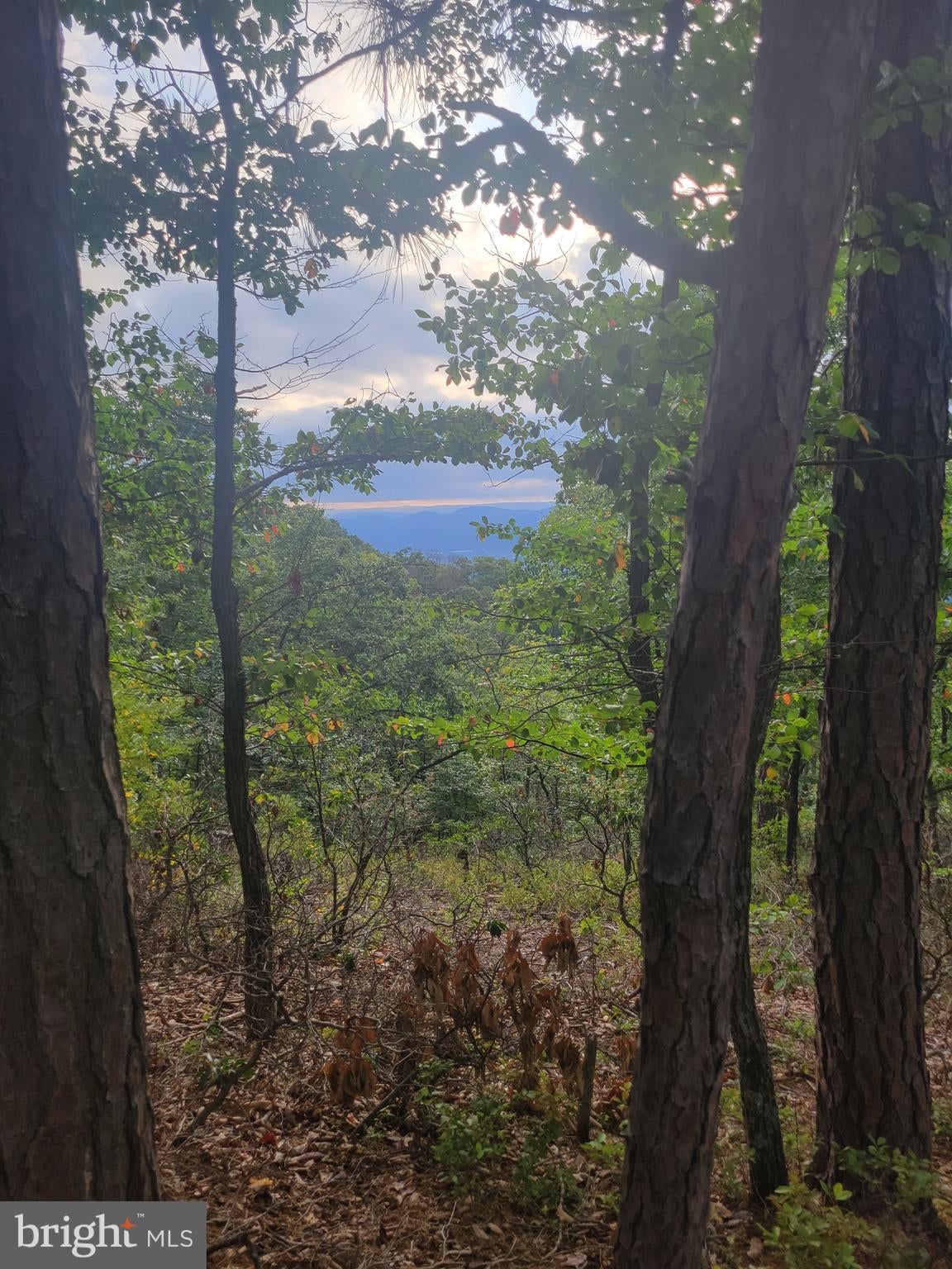 LOT 337 NATHANIEL MT ROAD