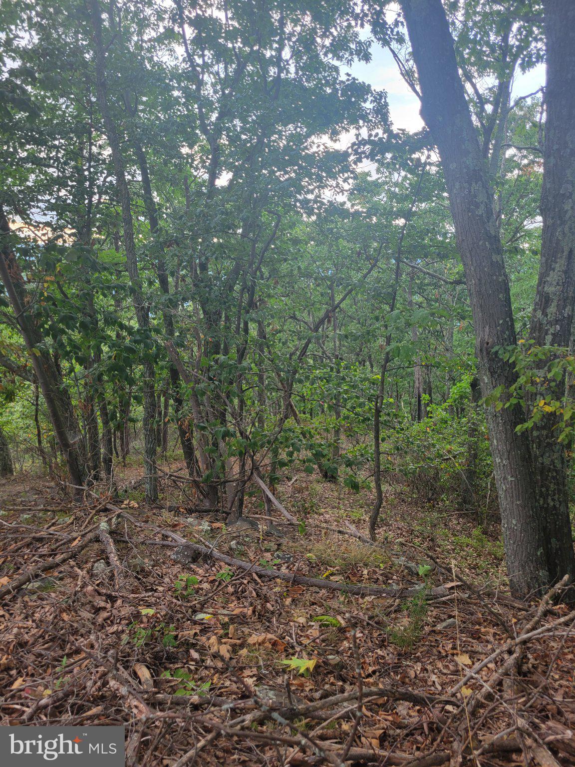 LOT 337 NATHANIEL MT ROAD
