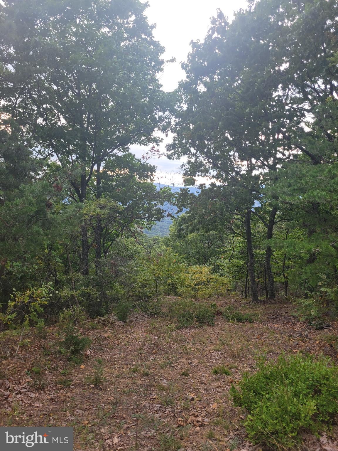 LOT 337 NATHANIEL MT ROAD