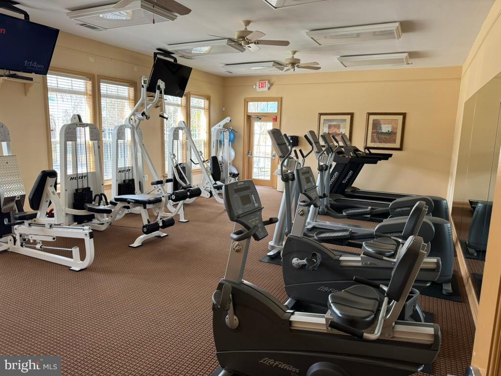 8604 WANDERING FOX TRAIL 301