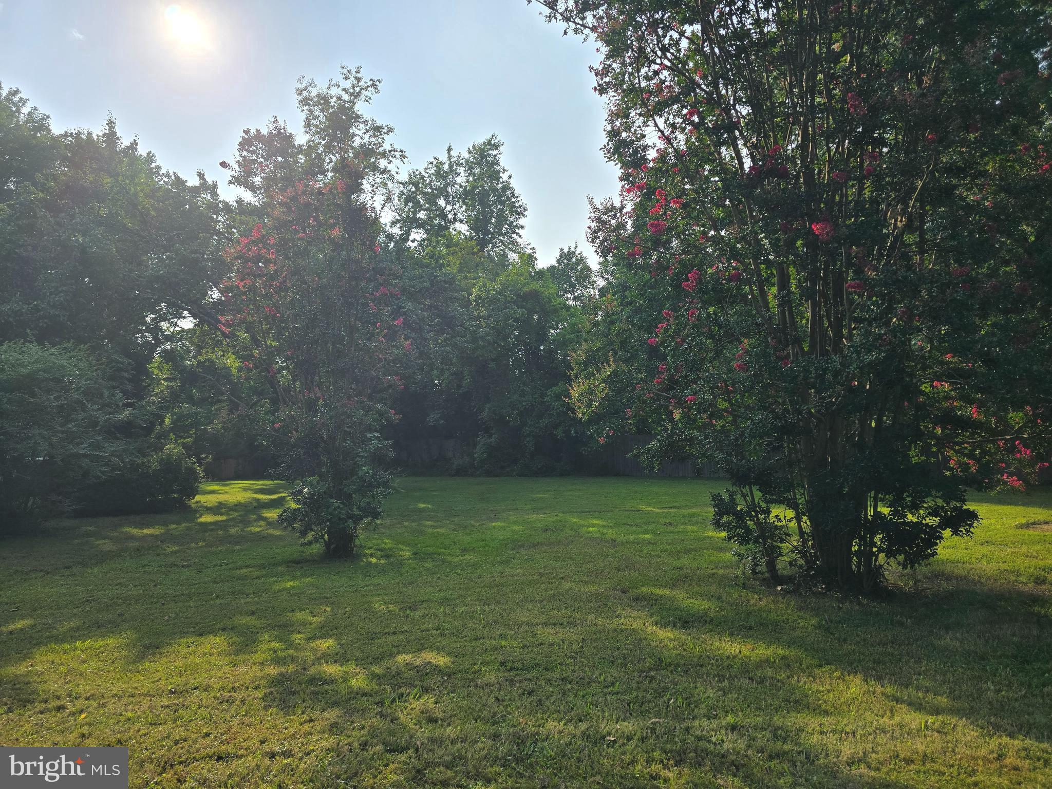 CHAPEL HILL - Residential