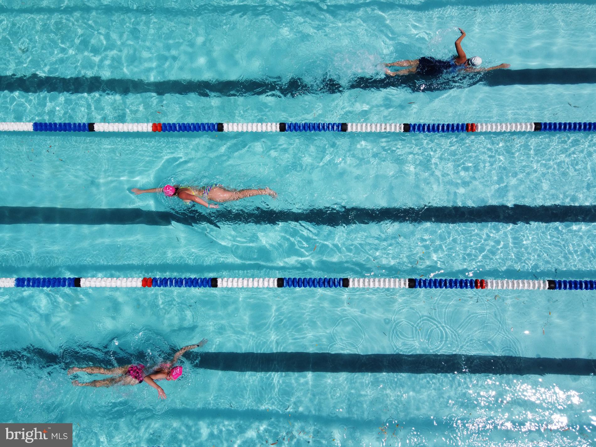 SPARROWS POINT - Residential