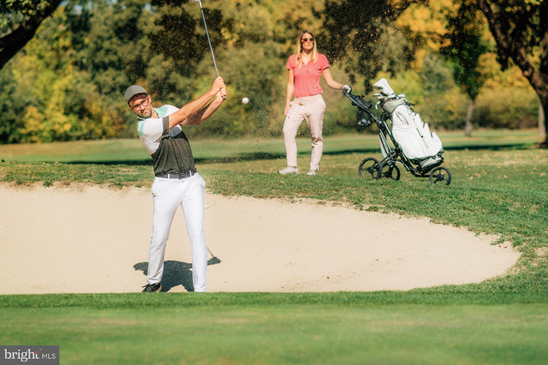 SPARROWS POINT - Residential