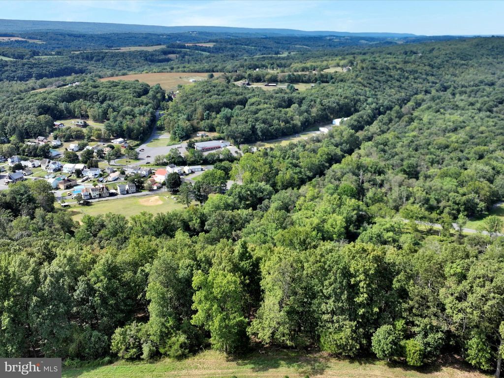 Photo of 0 Green Tree Drive, LANDINGVILLE, PA 17942 (MLS # PASK2023432)