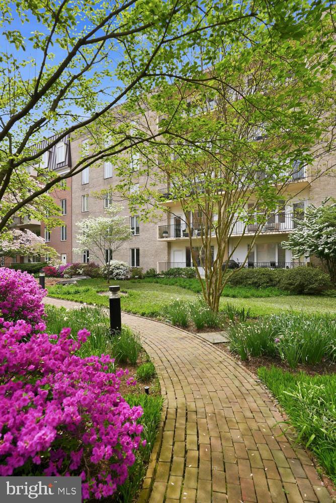 CHEVY CHASE - Residential