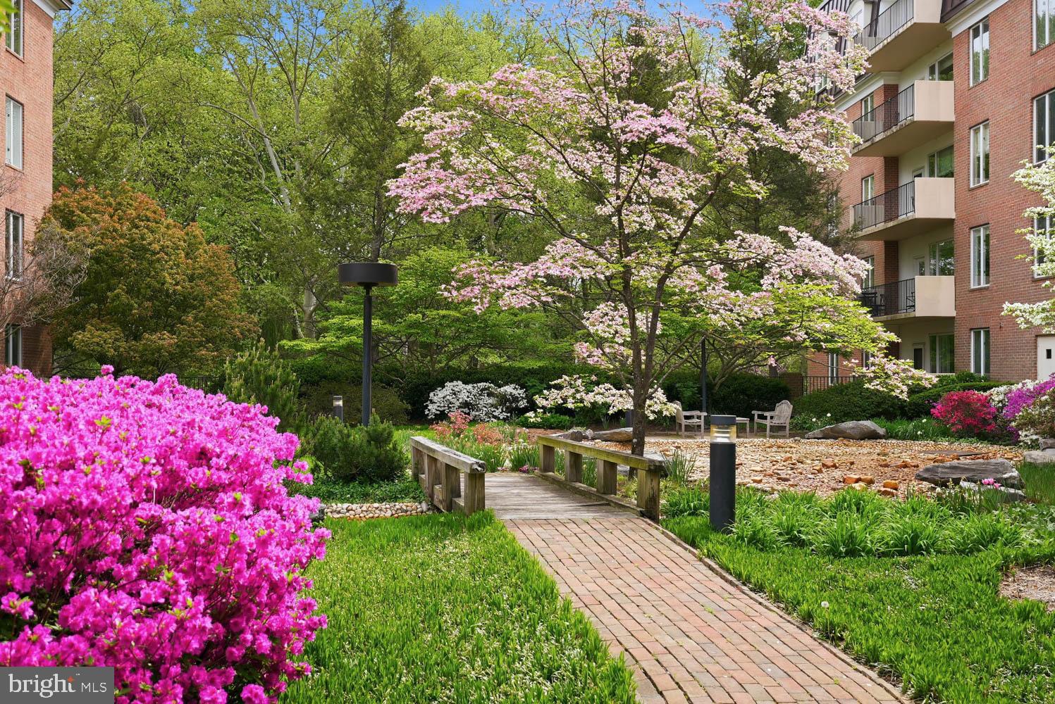 CHEVY CHASE - Residential