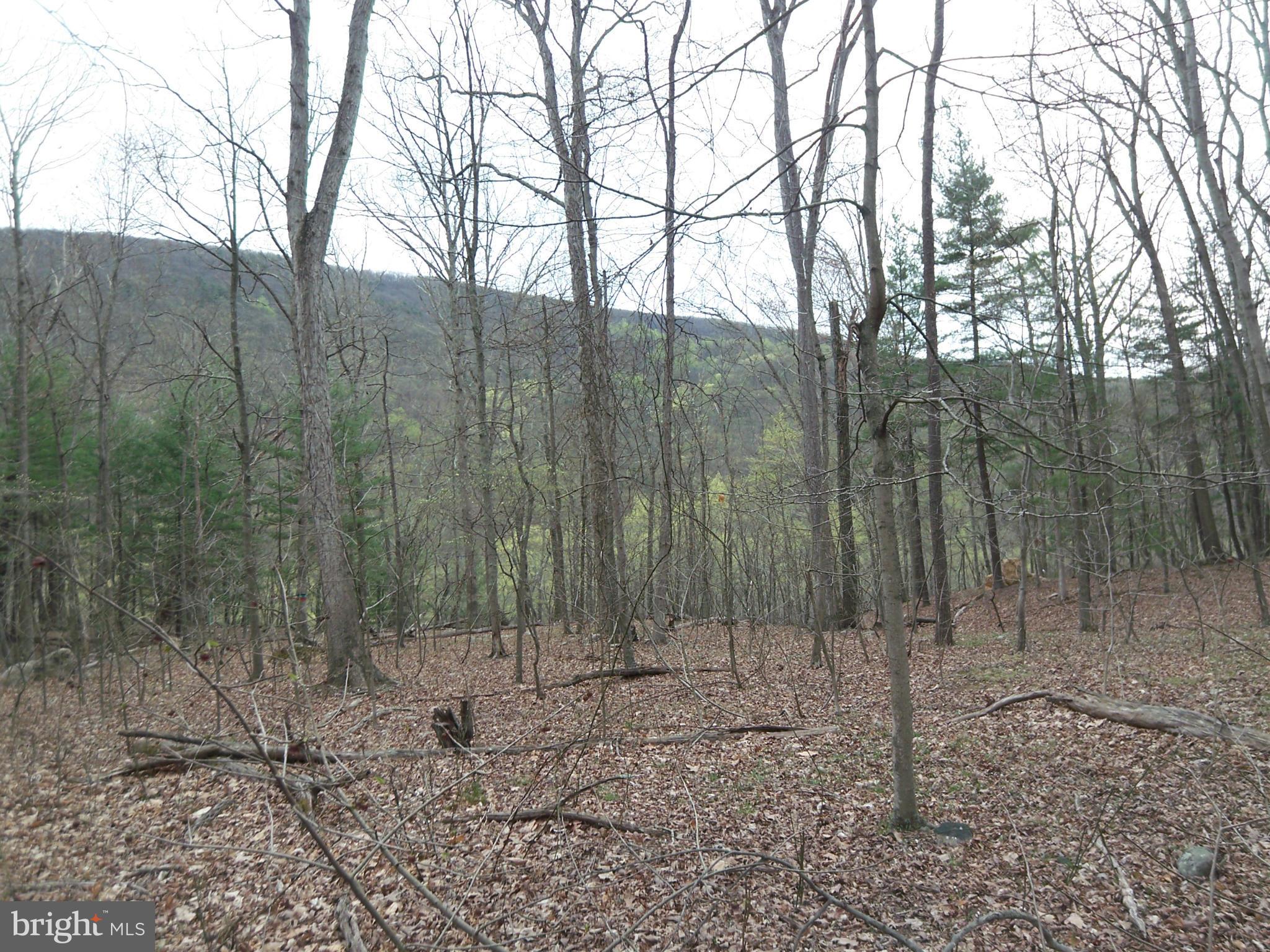 CACAPON RIVER MEADOWS - Land
