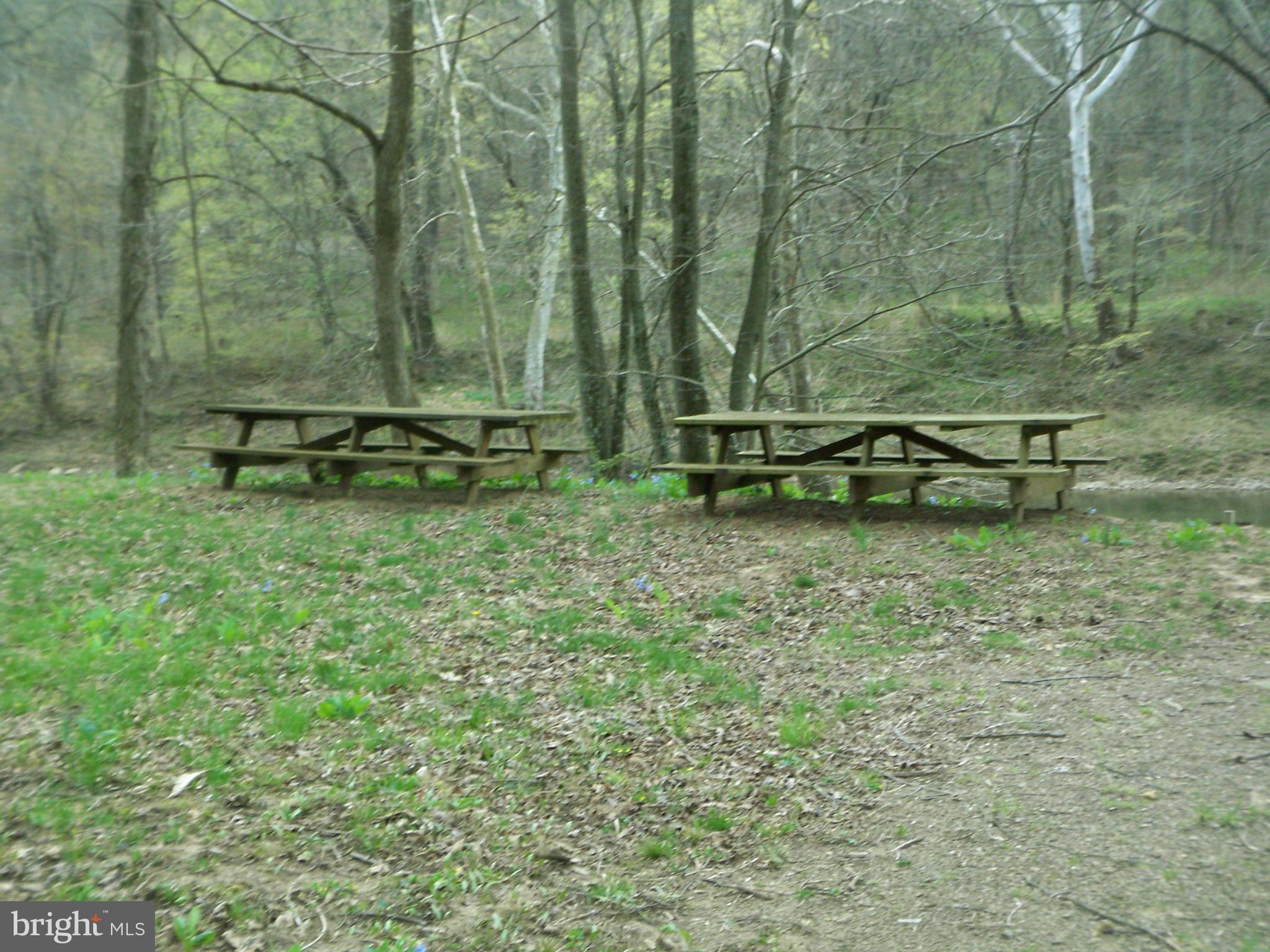 CACAPON RIVER MEADOWS - Land
