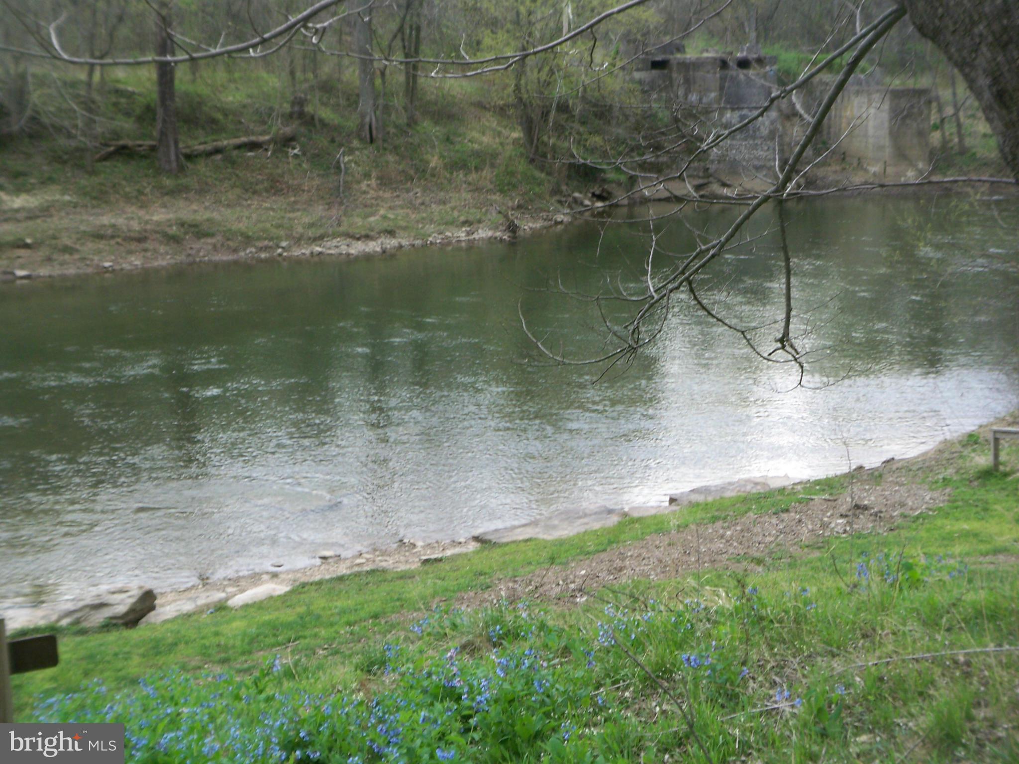 CACAPON RIVER MEADOWS - Land