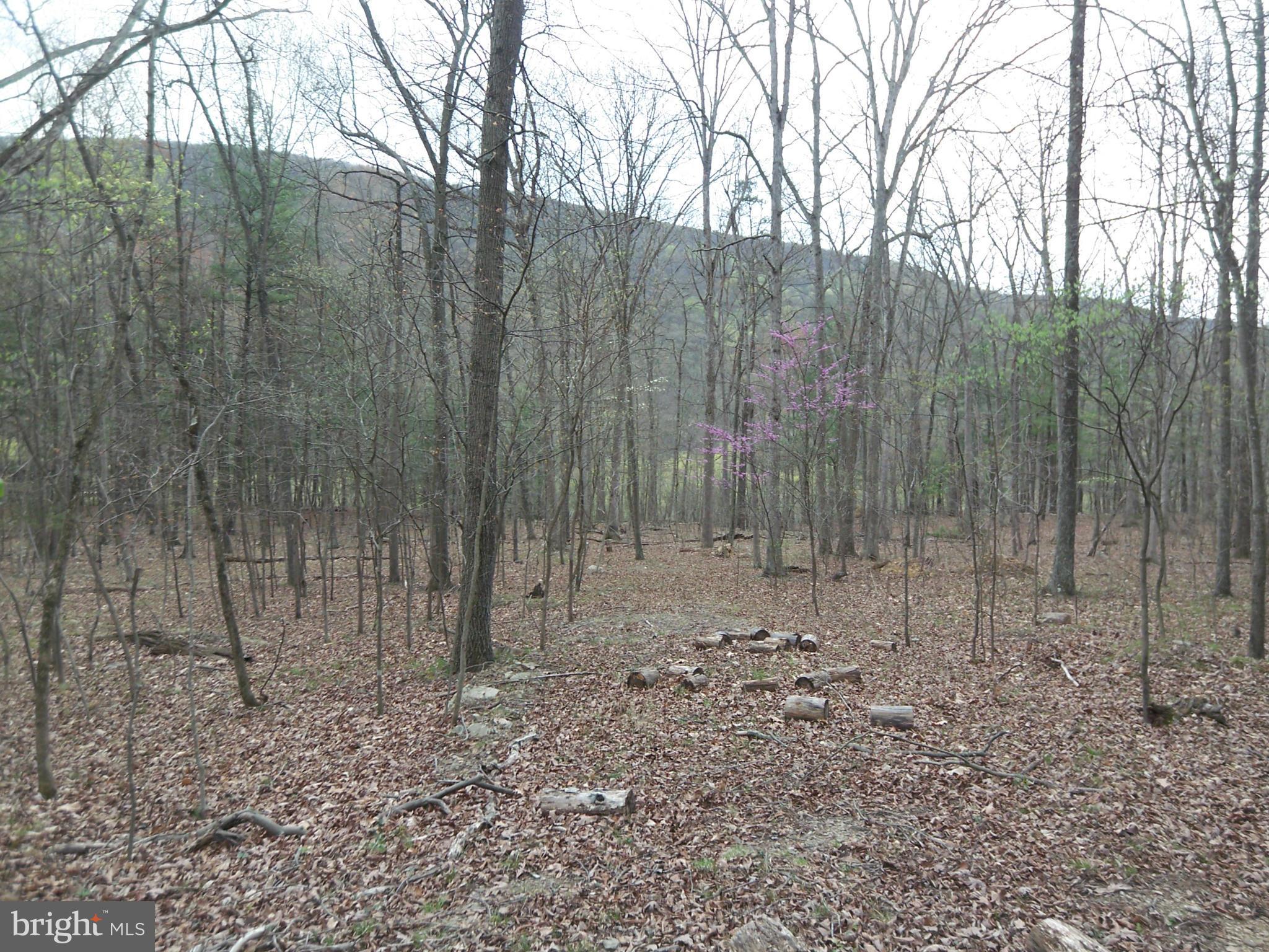 CACAPON RIVER MEADOWS - Land