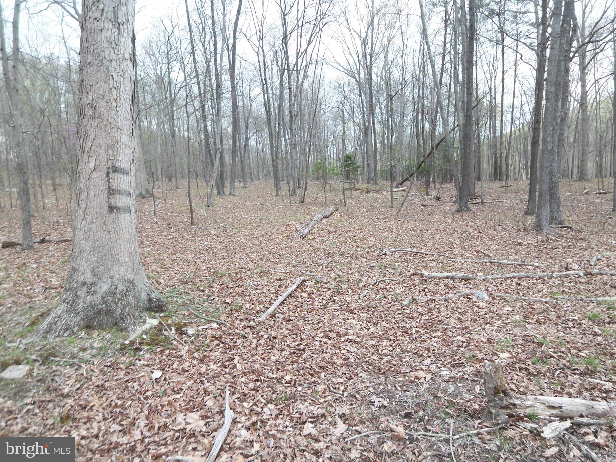 CACAPON RIVER MEADOWS - Land