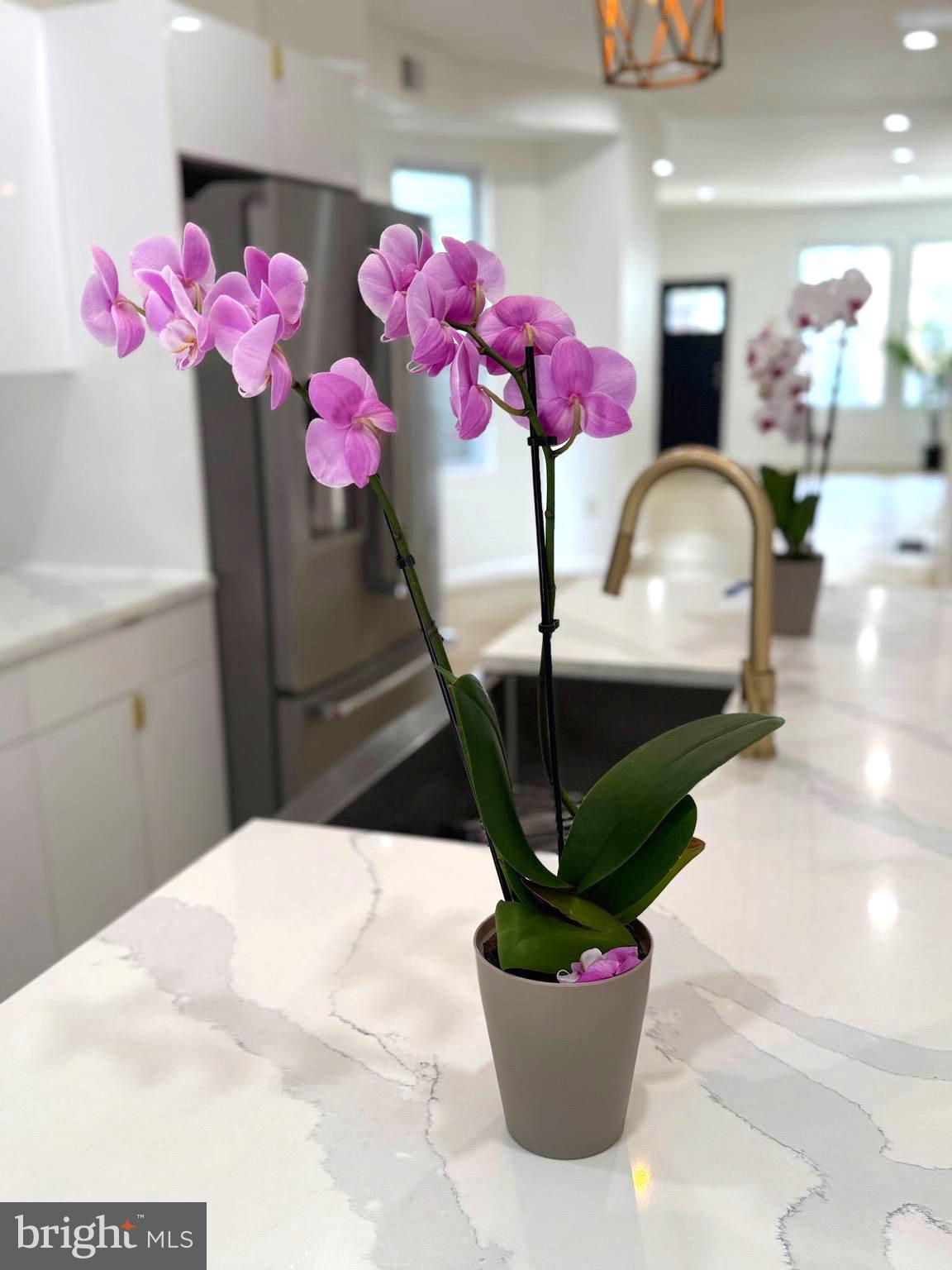 WALNUT HILL - Residential