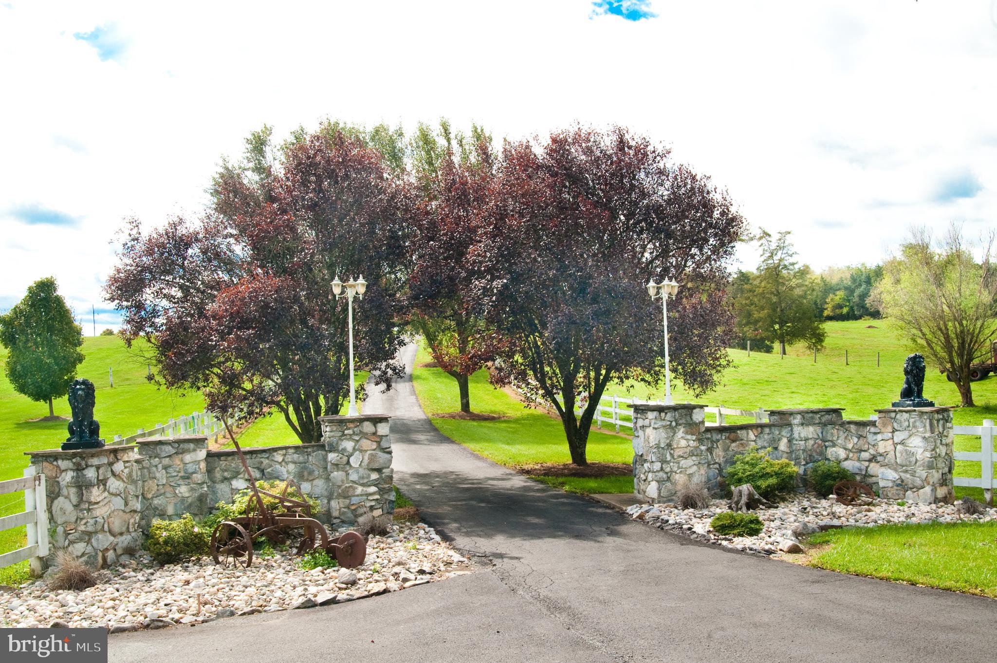 590 CARLYLE ROAD