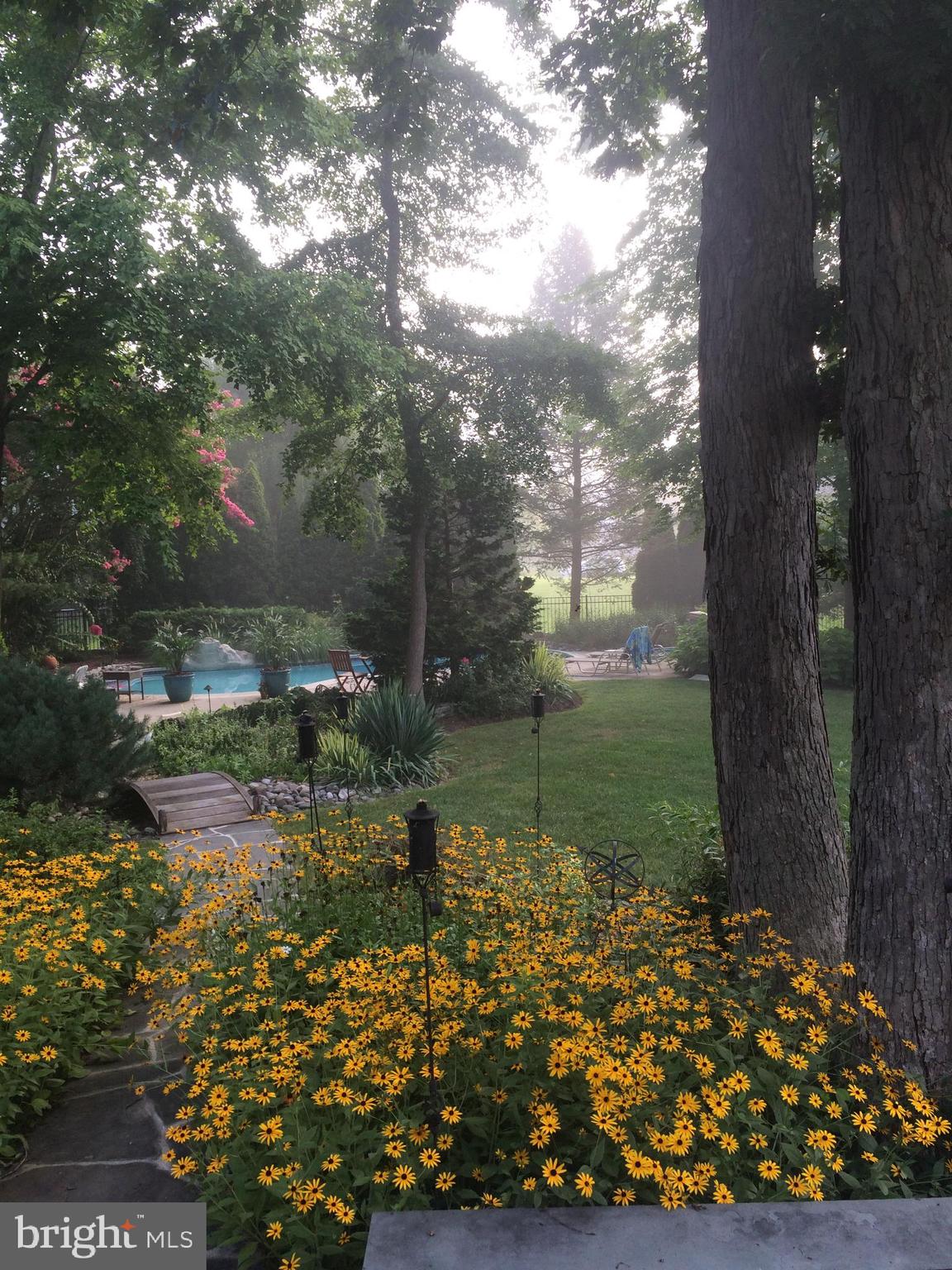 WELLESLEY HUNT - Residential