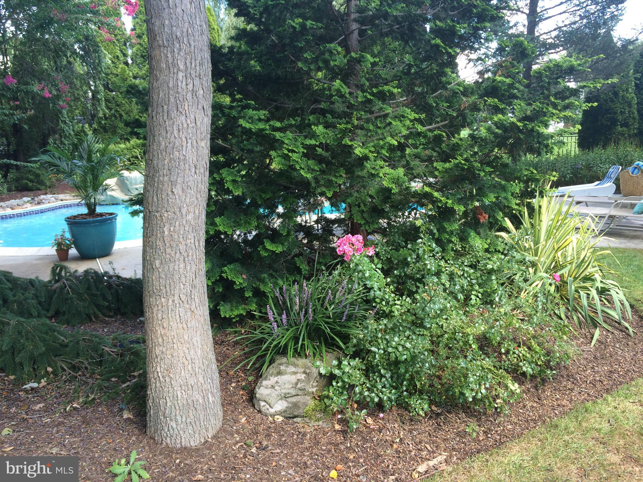 WELLESLEY HUNT - Residential