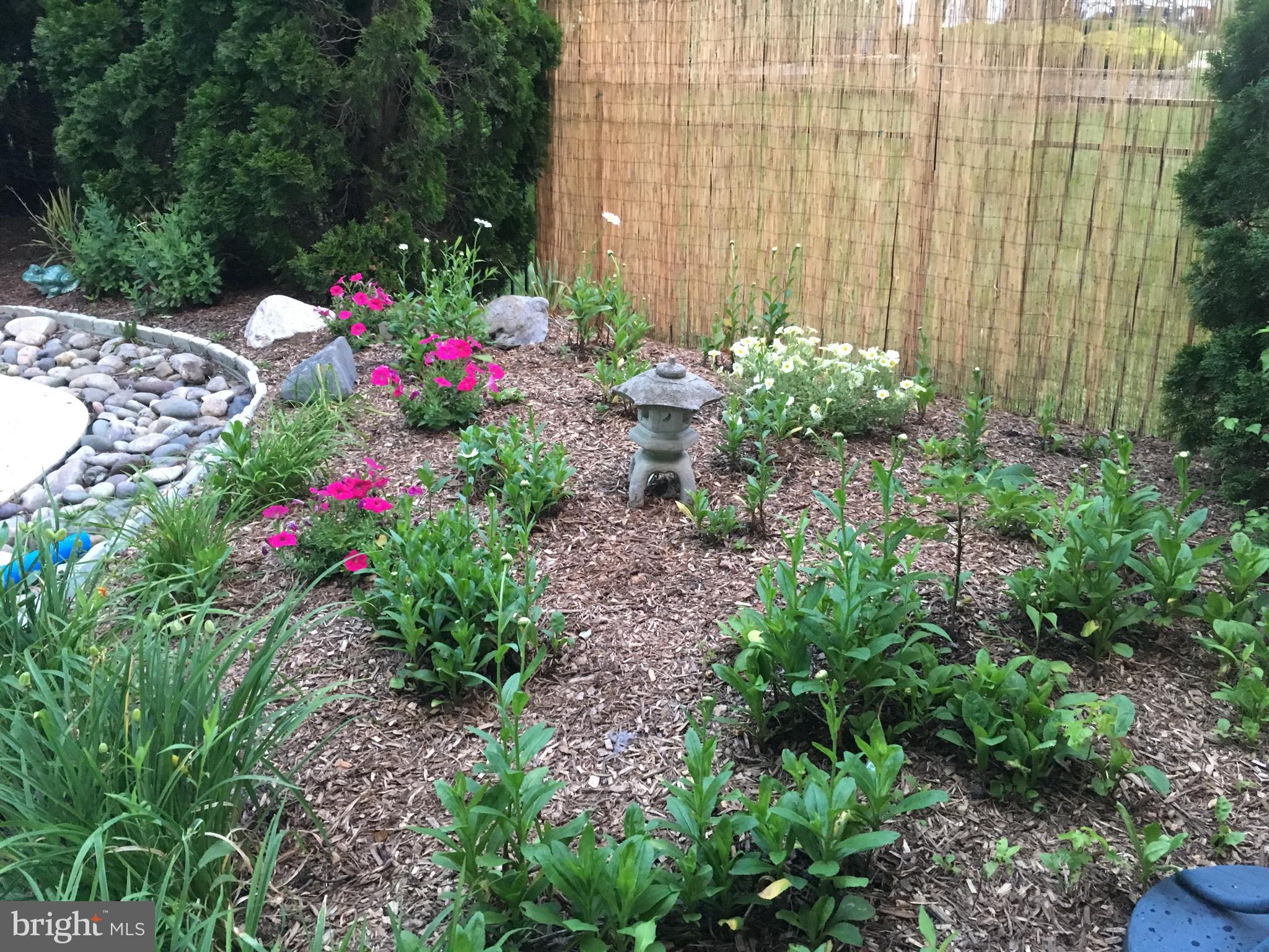 WELLESLEY HUNT - Residential