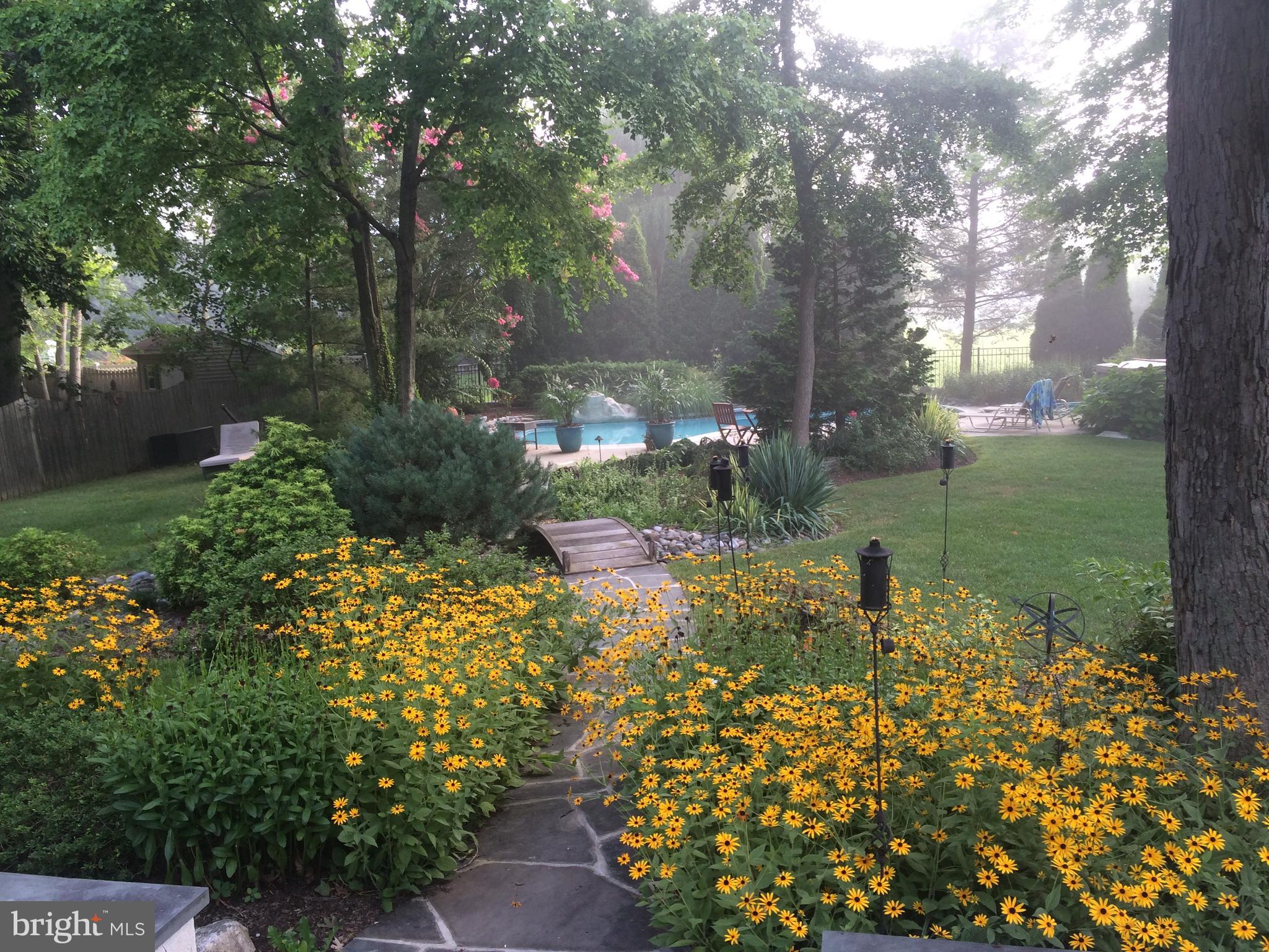 WELLESLEY HUNT - Residential