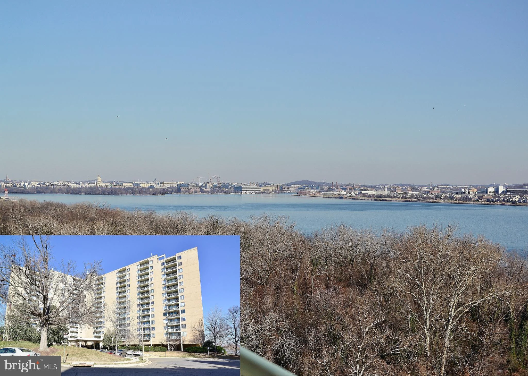 501 Slaters Lane Unit 1019, Alexandria, VA 22314