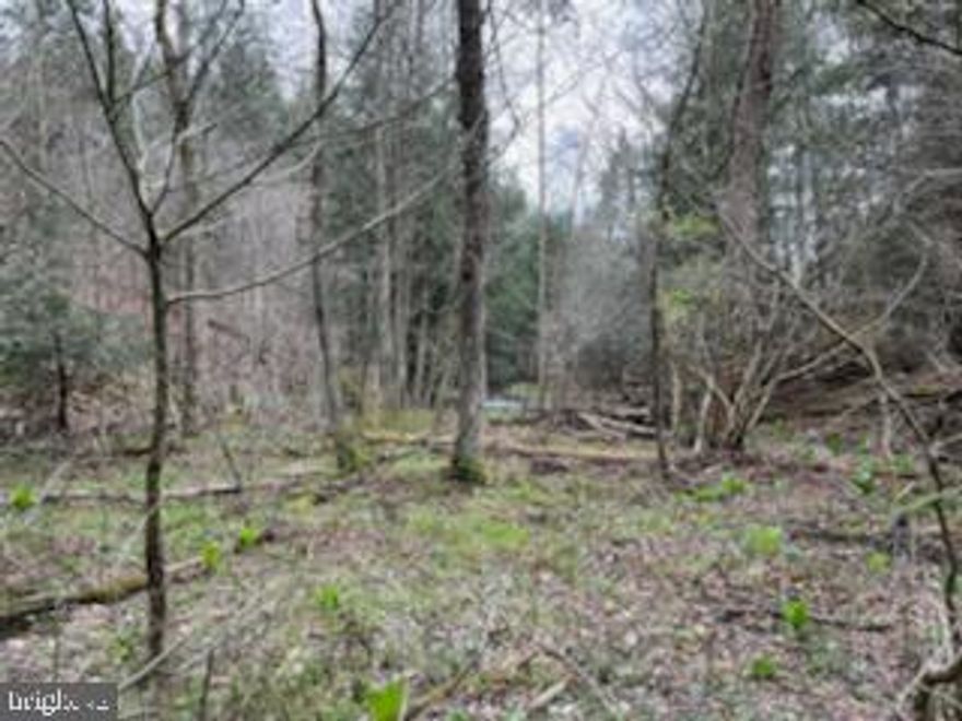 BEAUTIFUL SETTING WITH HUGE HEMLOCKS STREAM ,PROPERTY HAS TIMBER VALUE WELL OVER 100,000  ALSO HAS BROWN STONE ON PROPERTY. SELLER HAS LOGGING COMPANY LETTER WITH ESTIMATE OF TIMBER VALUE.