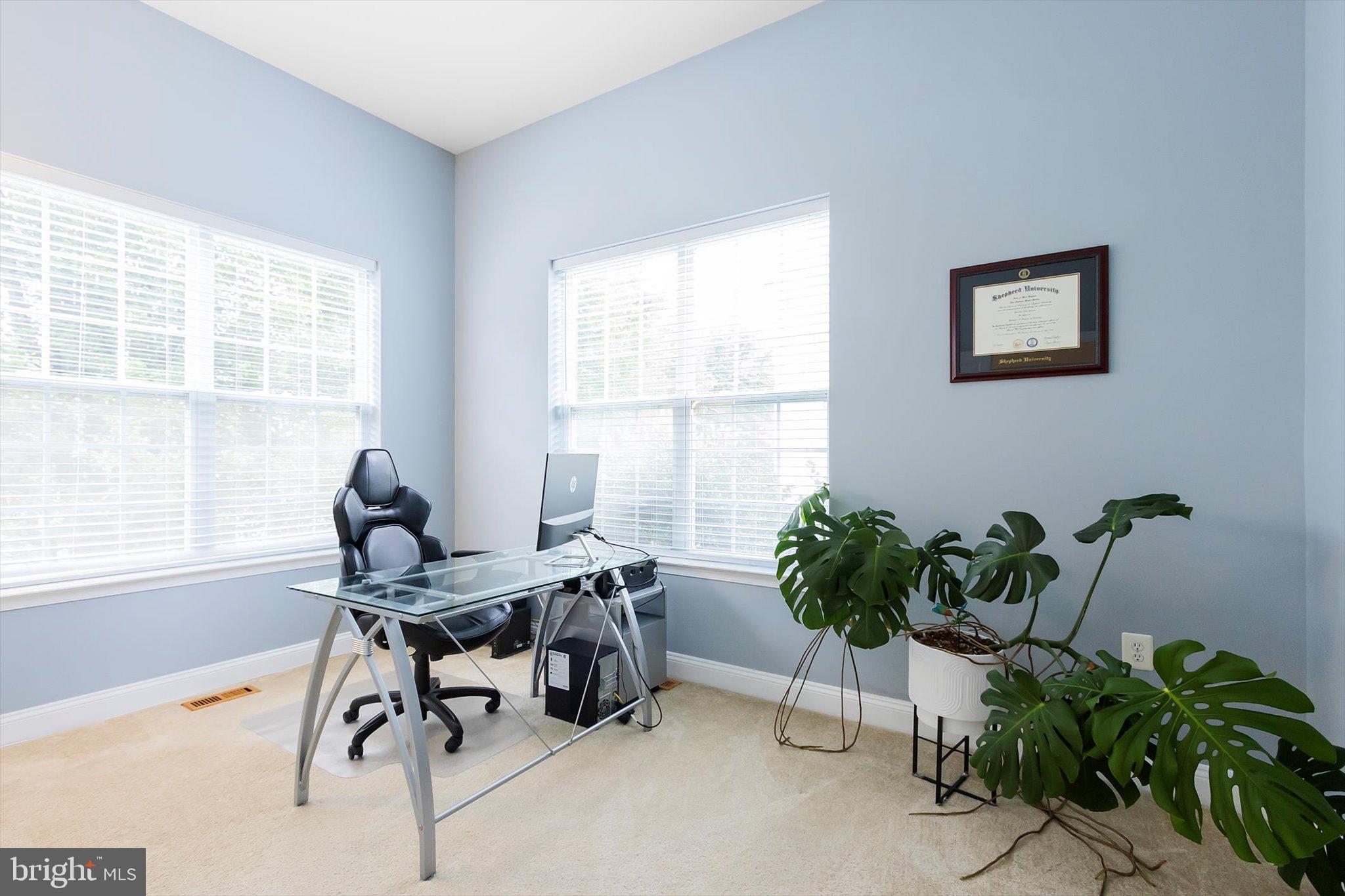 NORBORNE GLEBE - Residential